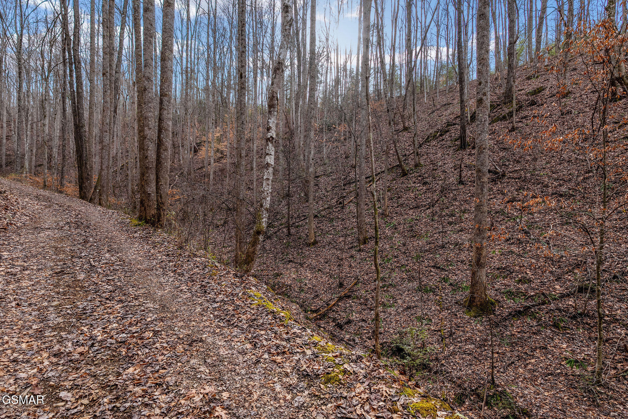 Lot 14 Paint Horse Way Sevierville TN 37876