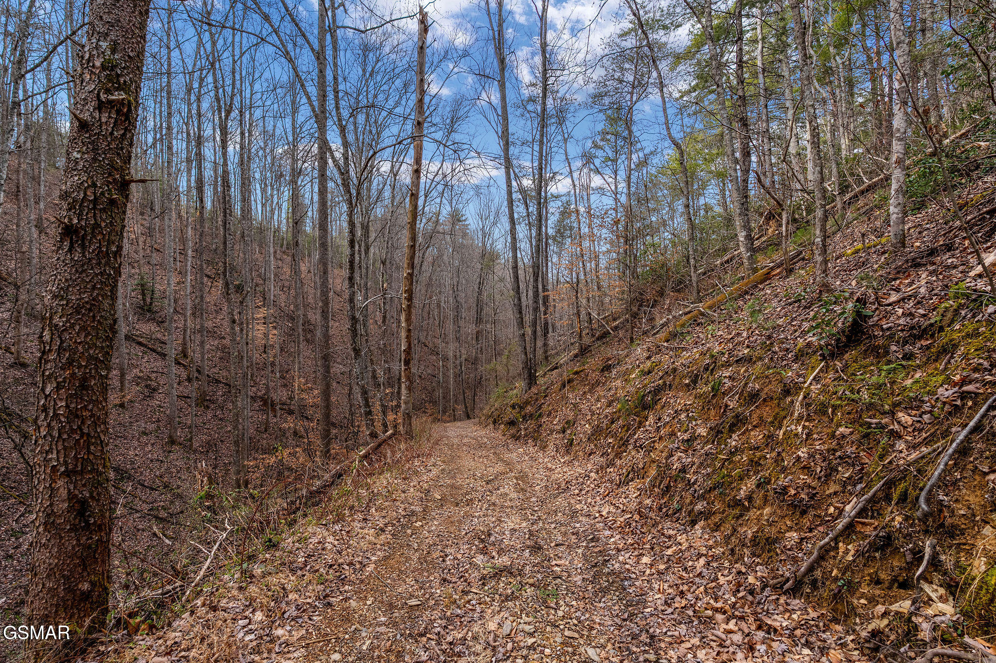 Lot 14 Paint Horse Way Sevierville TN 37876