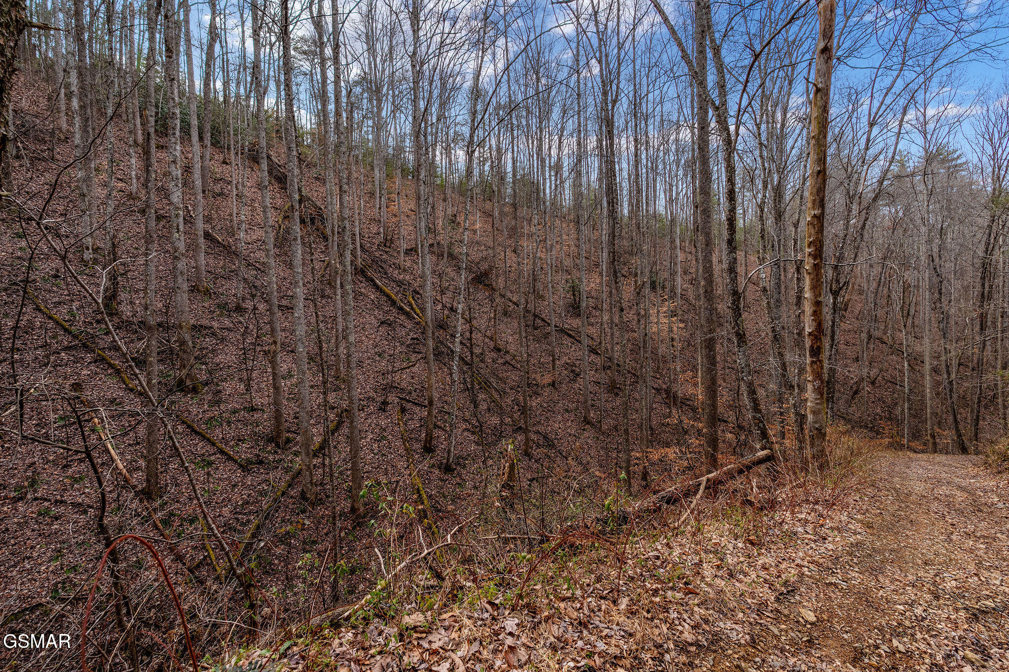 Lot 14 Paint Horse Way Sevierville TN 37876