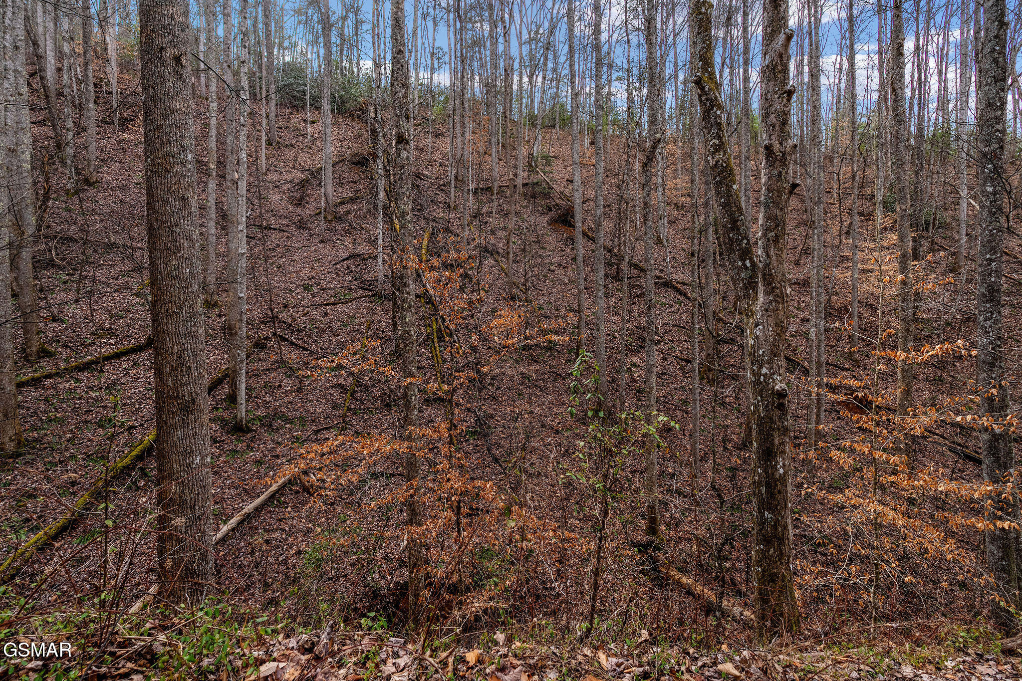 Lot 14 Paint Horse Way Sevierville TN 37876