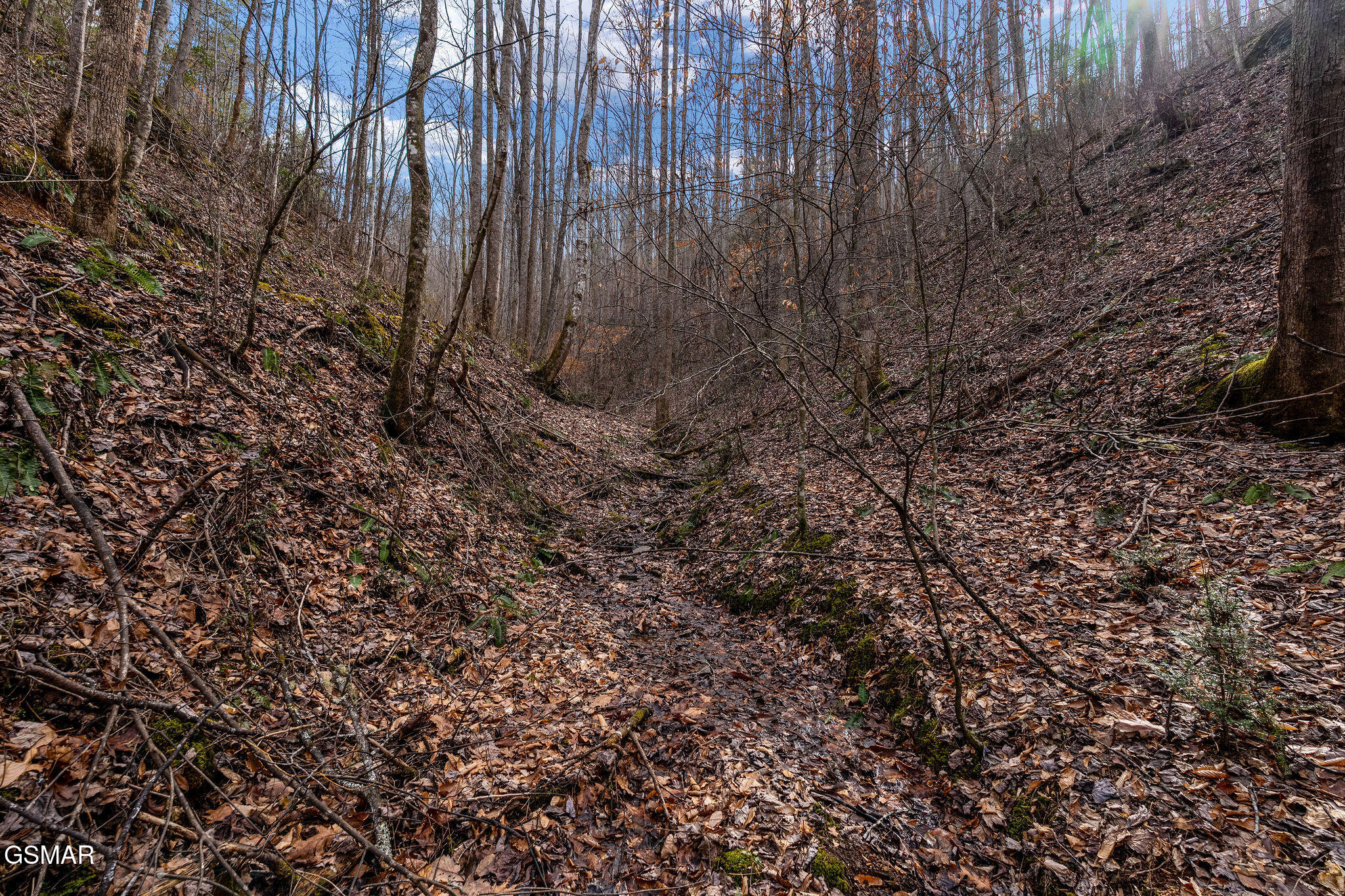 Lot 14 Paint Horse Way Sevierville TN 37876
