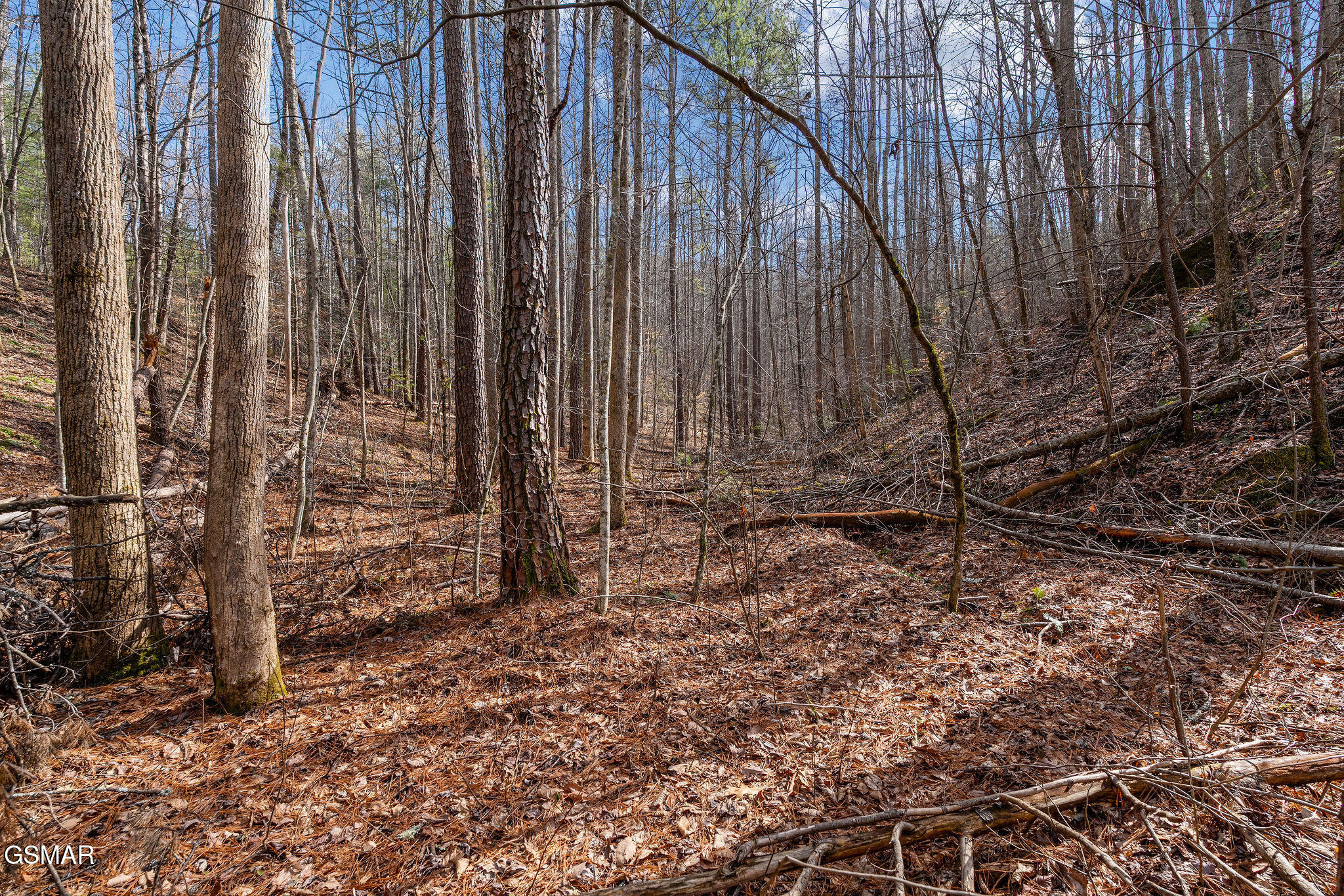 Lot 14 Paint Horse Way Sevierville TN 37876