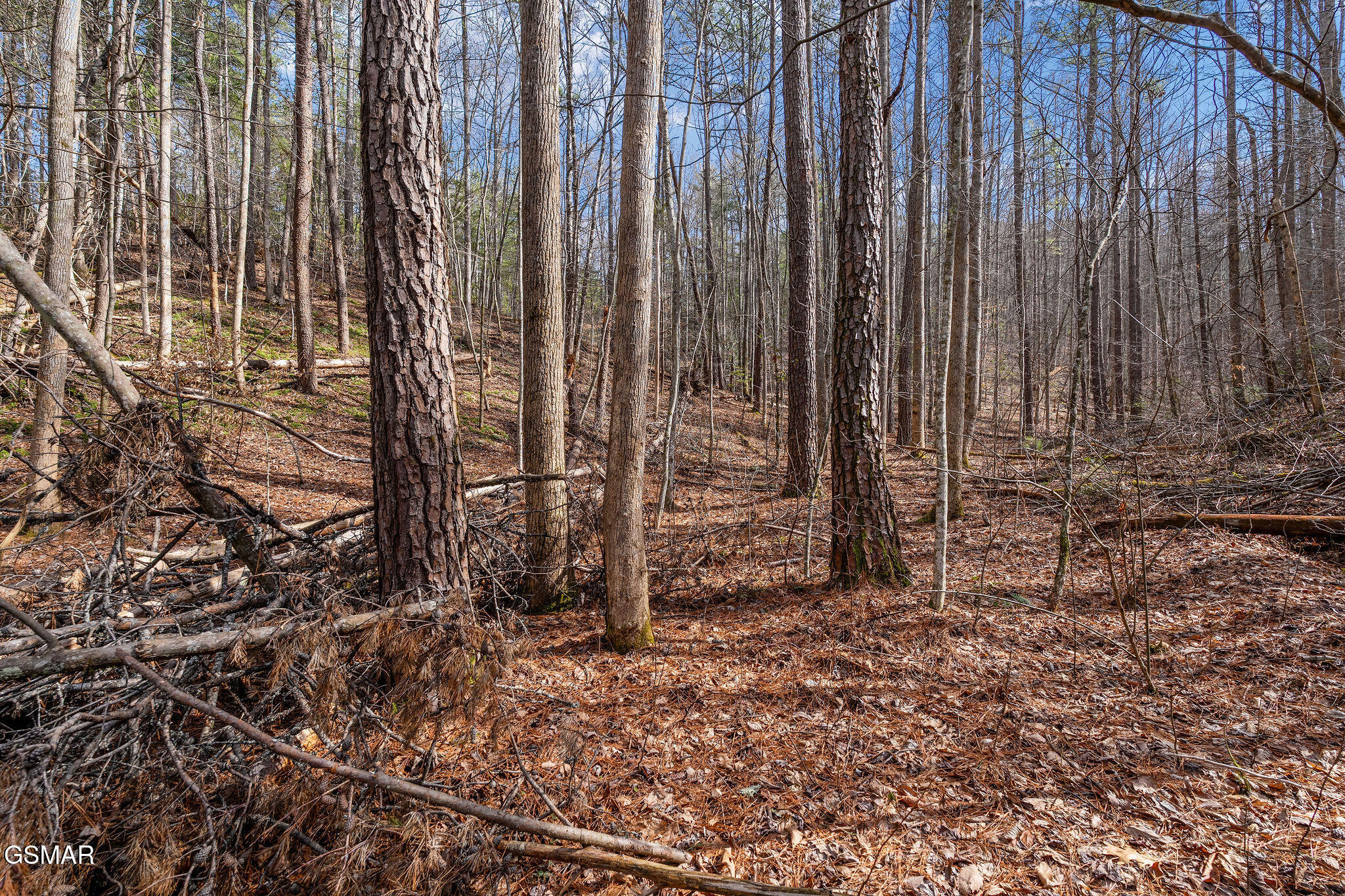 Lot 14 Paint Horse Way Sevierville TN 37876