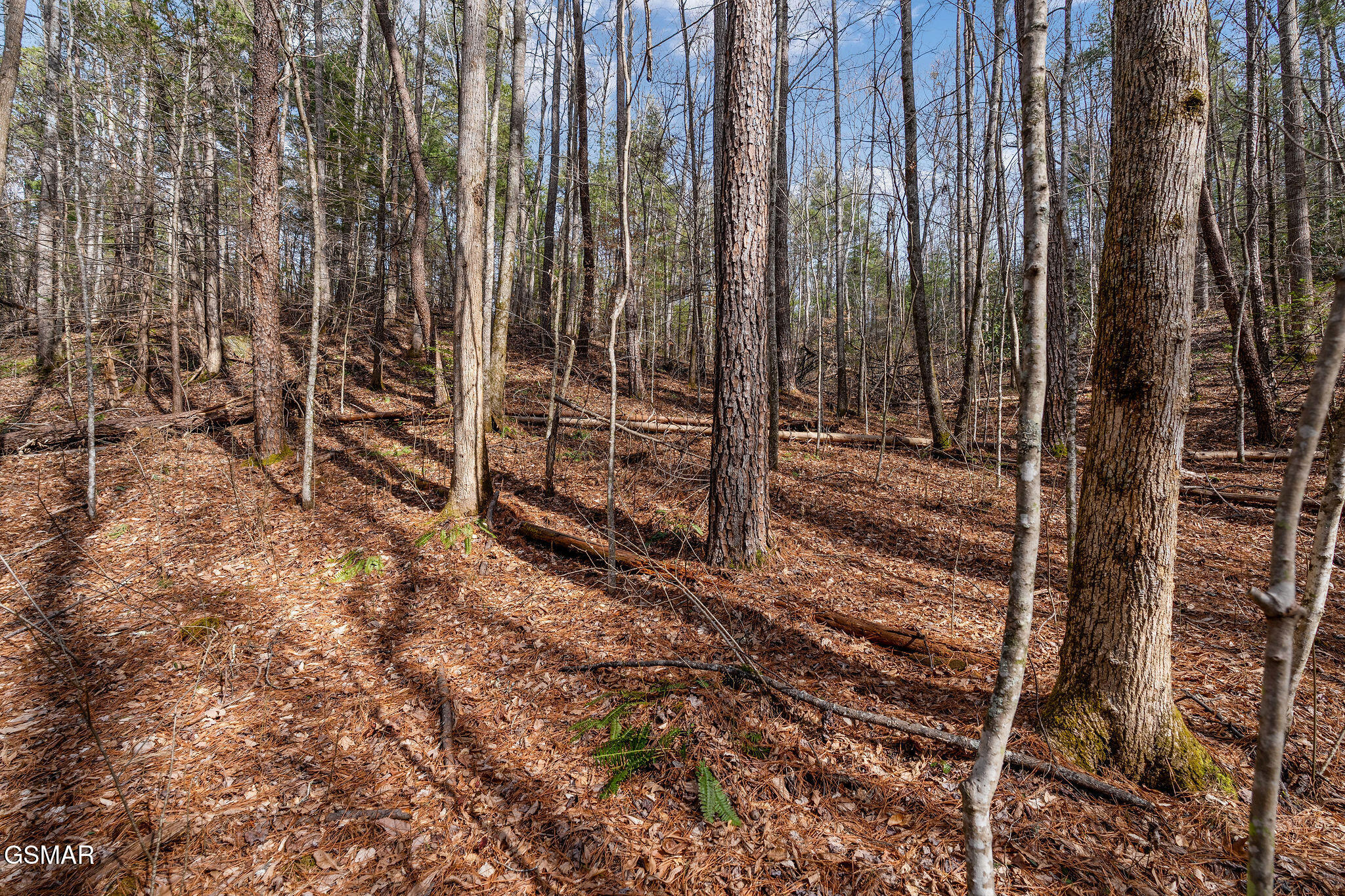 Lot 14 Paint Horse Way Sevierville TN 37876