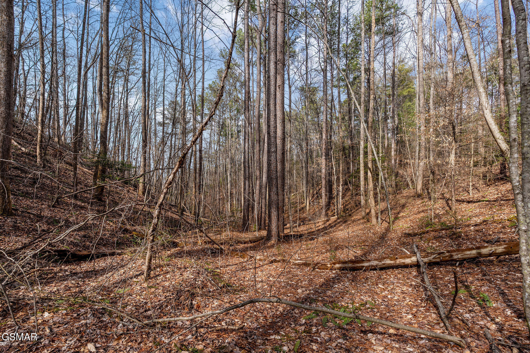 Lot 14 Paint Horse Way Sevierville TN 37876