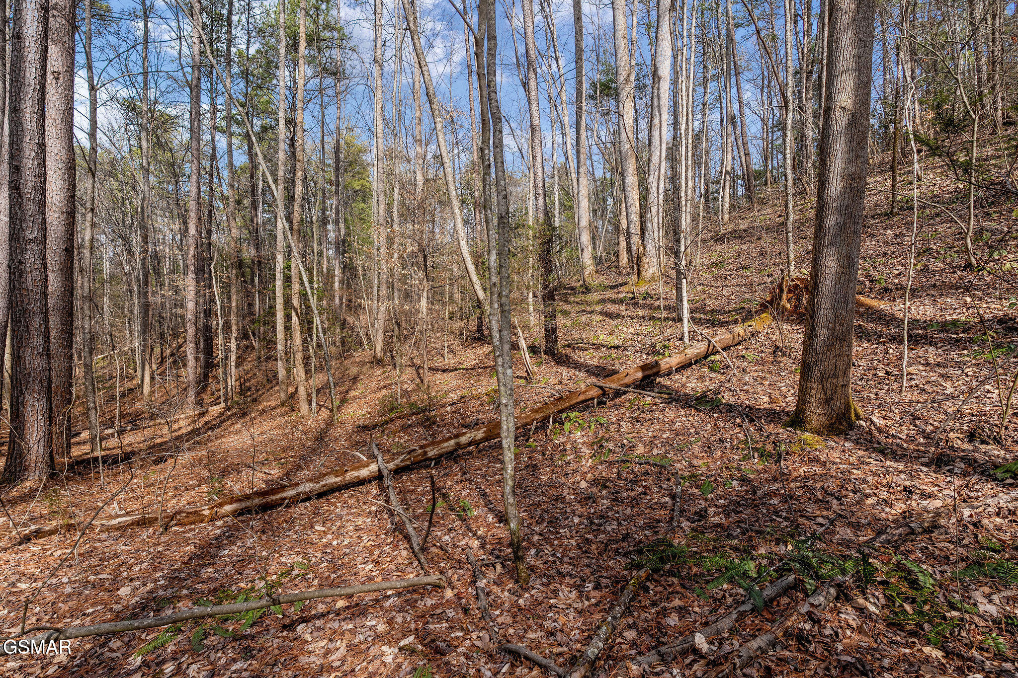 Lot 14 Paint Horse Way Sevierville TN 37876