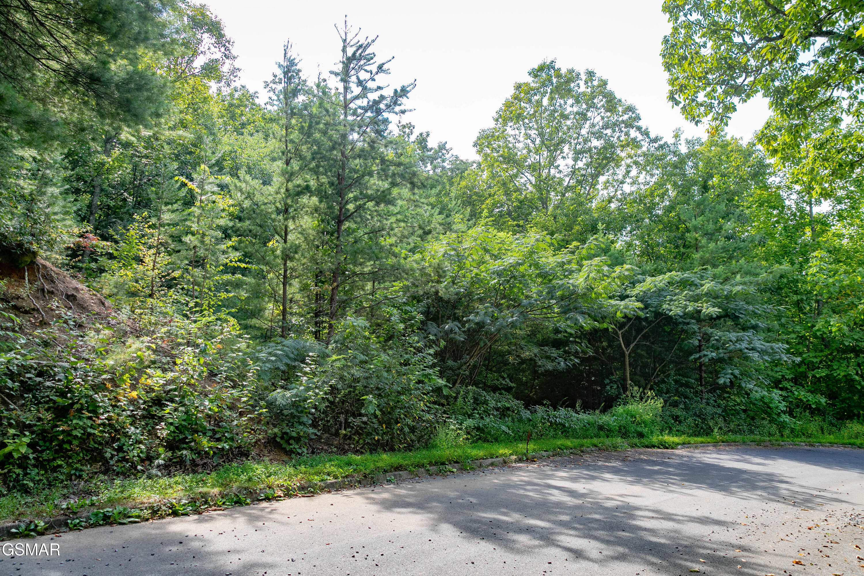 Lot 13 Lexy Lane Sevierville TN 37862