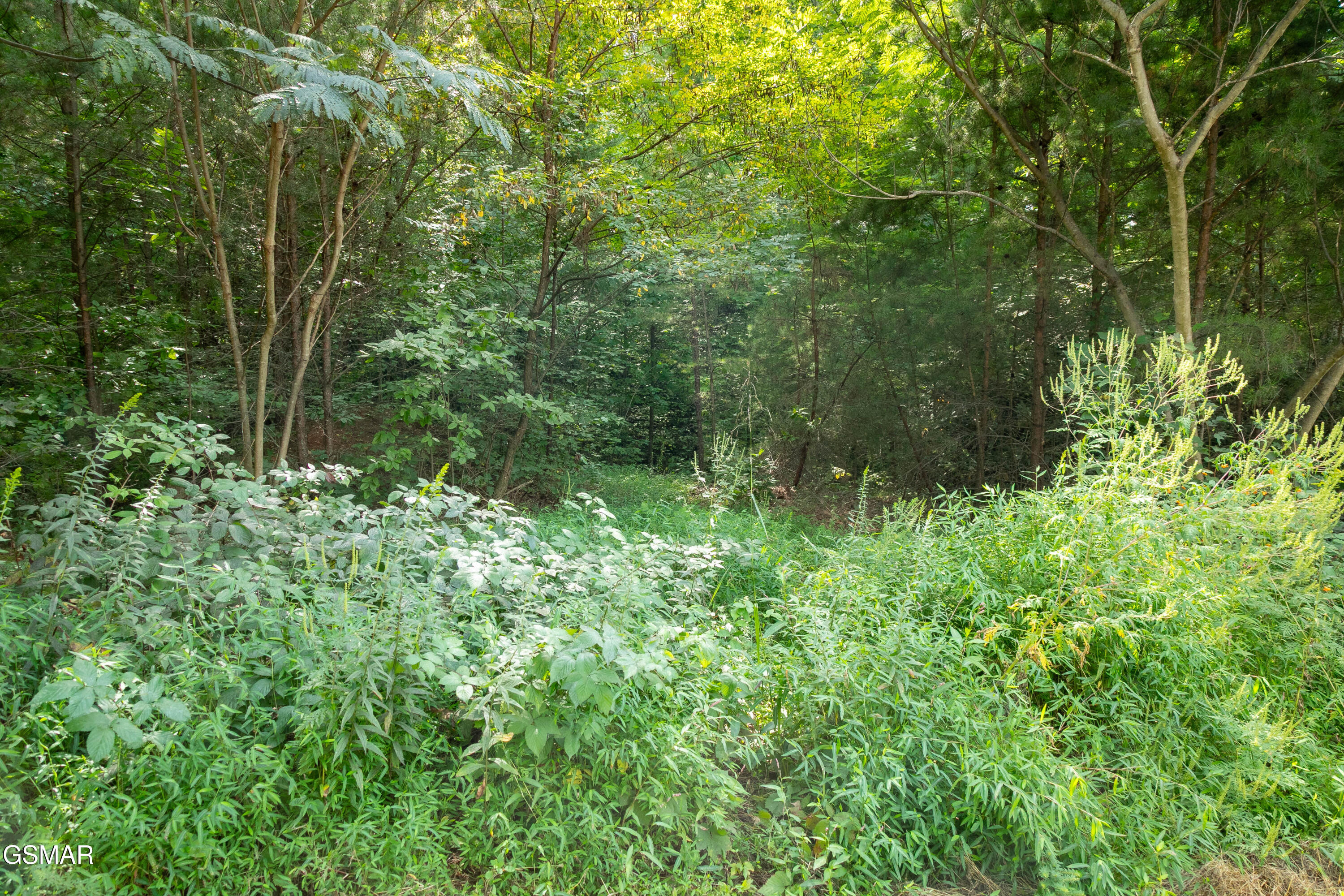 Lot 13 Lexy Lane Sevierville TN 37862