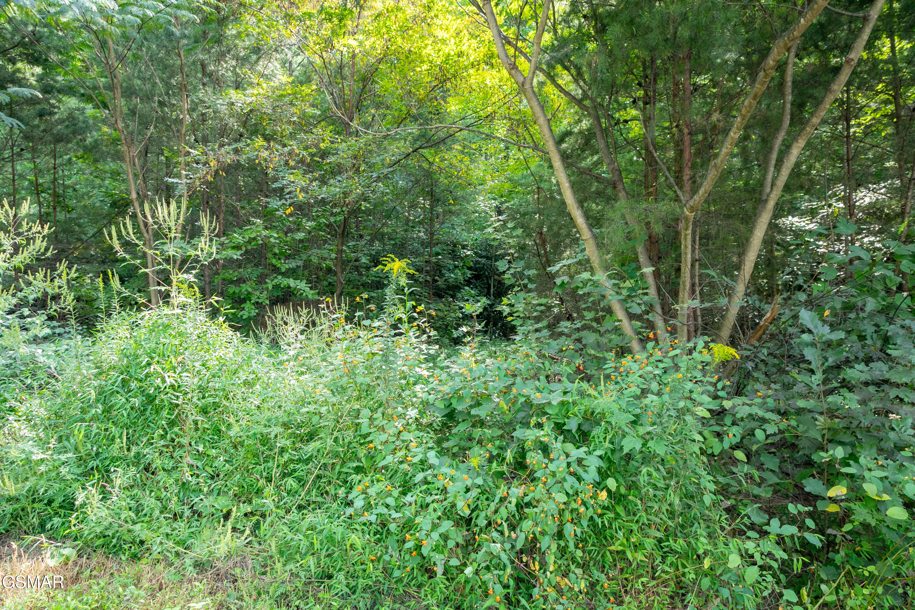 Lot 13 Lexy Lane Sevierville TN 37862