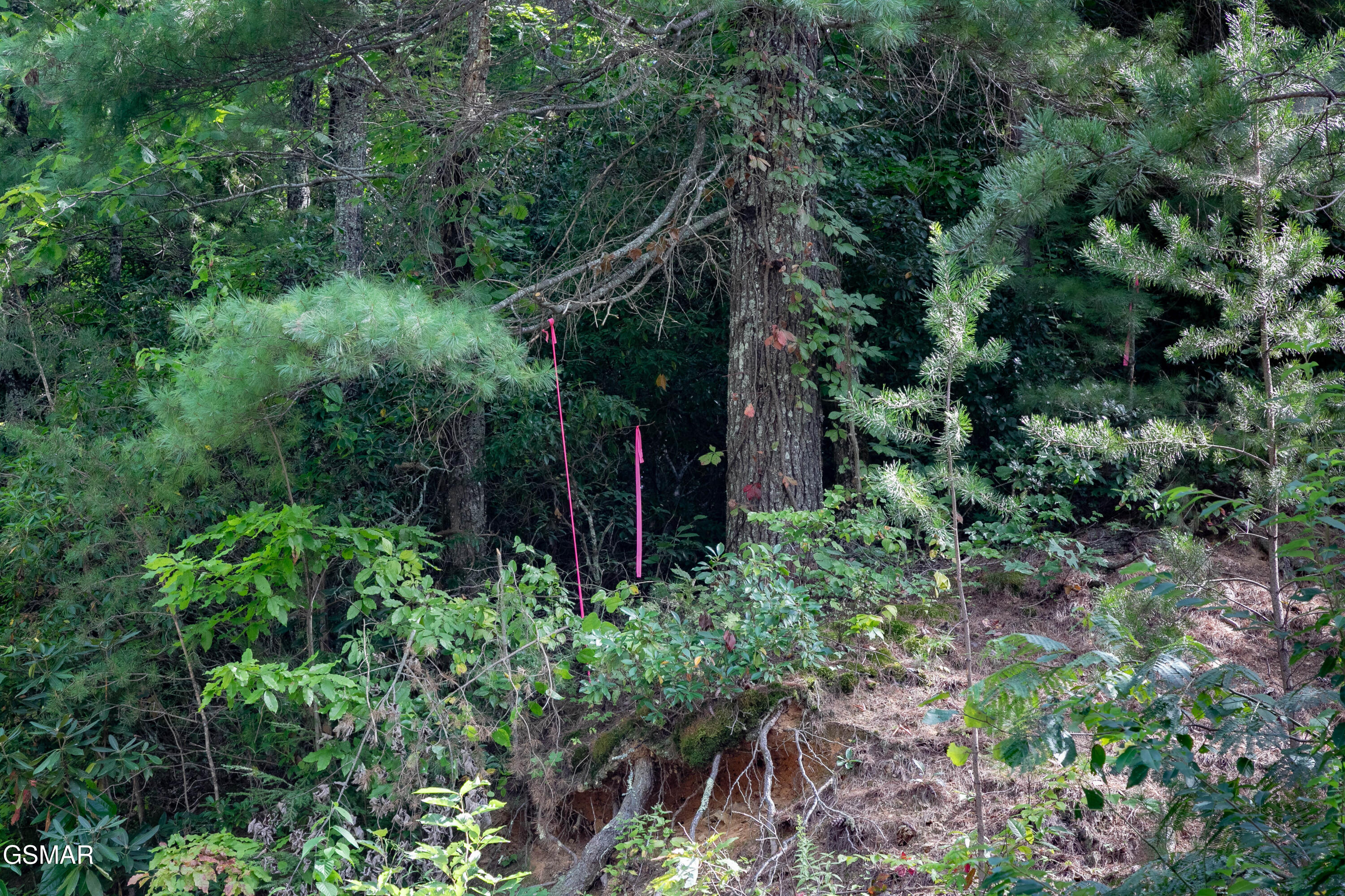 Lot 13 Lexy Lane Sevierville TN 37862