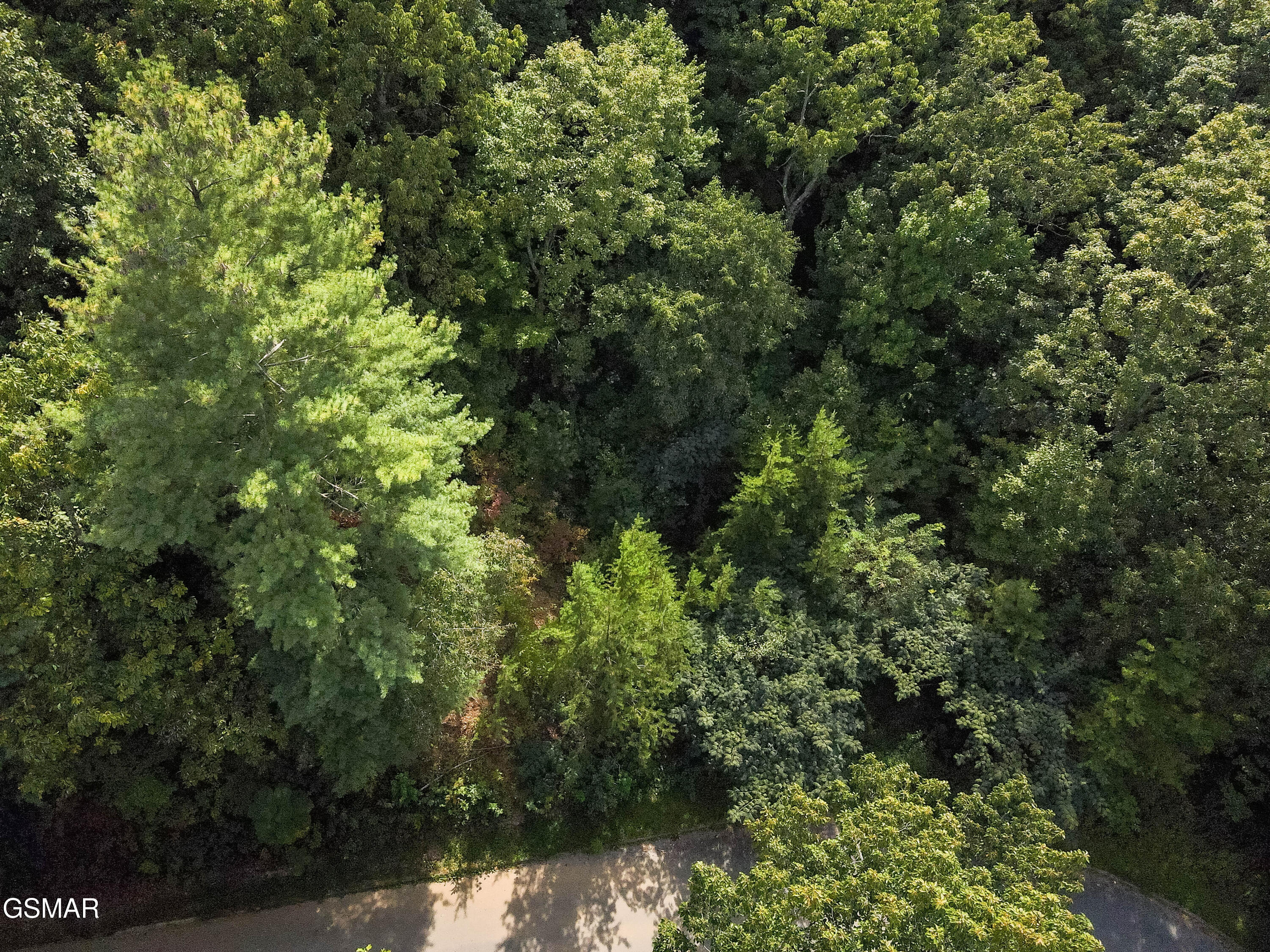 Lot 13 Lexy Lane Sevierville TN 37862