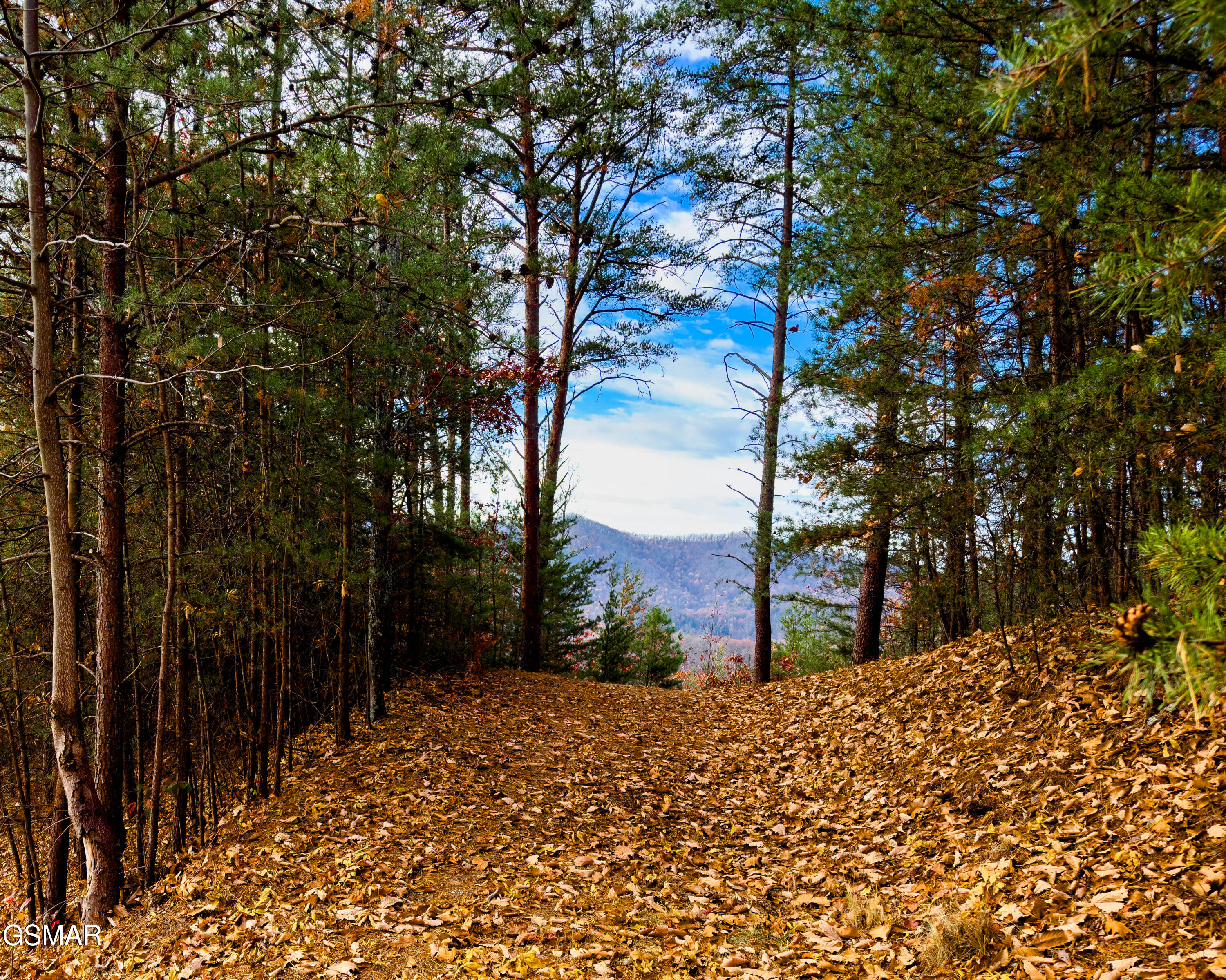 Lot 12-e Stackstone Road Sevierville TN 37862