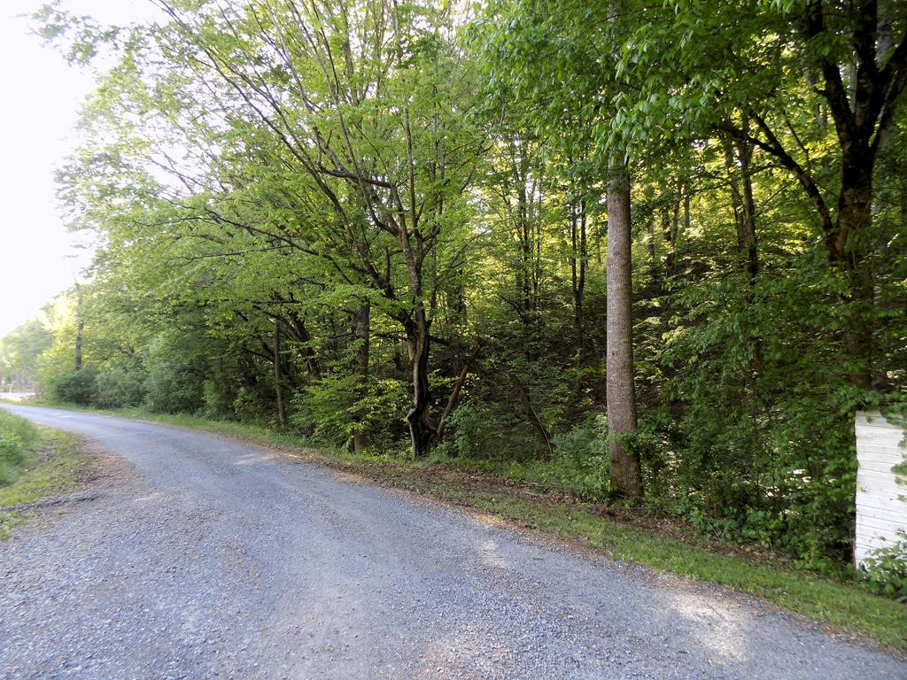 Par 023.04 Driftwood Road Cosby TN 37722