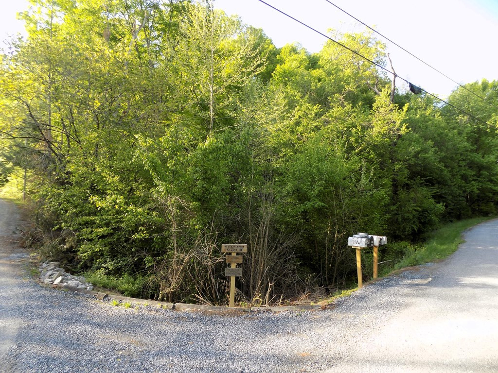 Par 023.04 Driftwood Road Cosby TN 37722