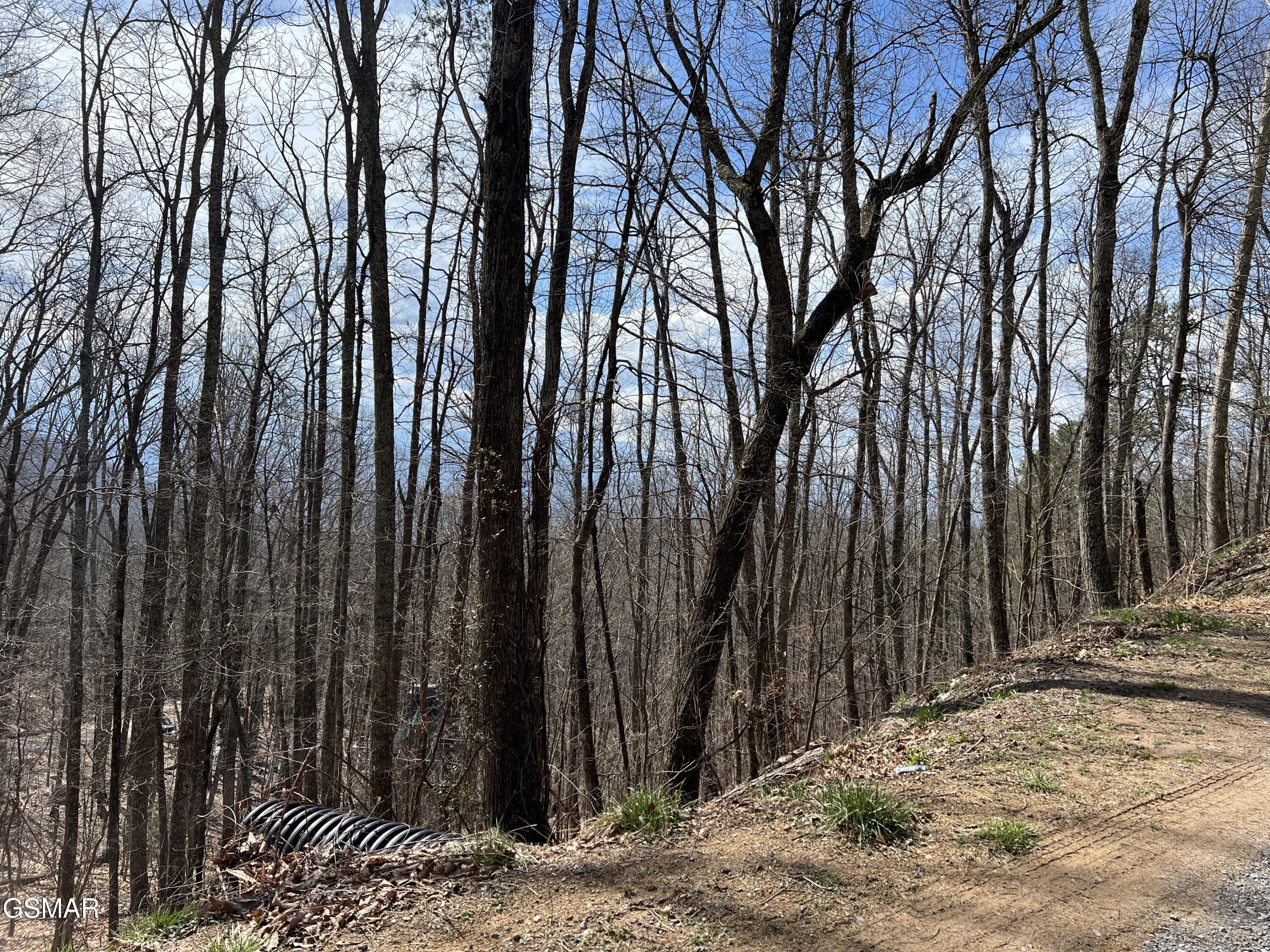 Lot 18 Clingmans View Sevierville TN 37876