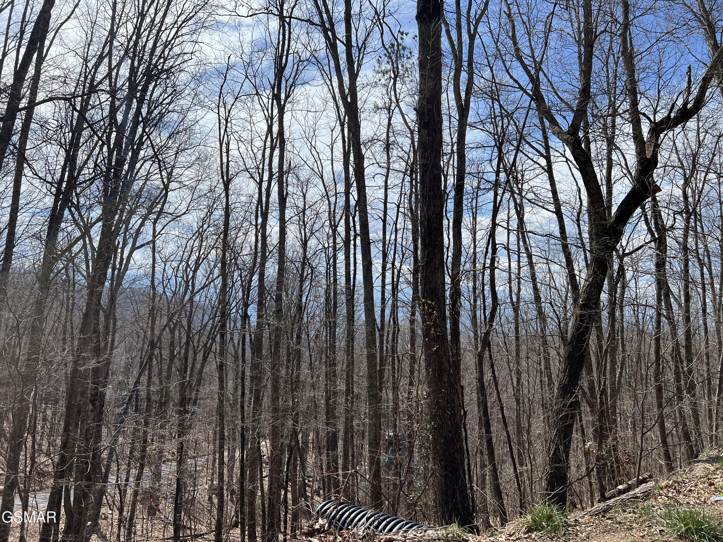 Lot 18 Clingmans View Sevierville TN 37876