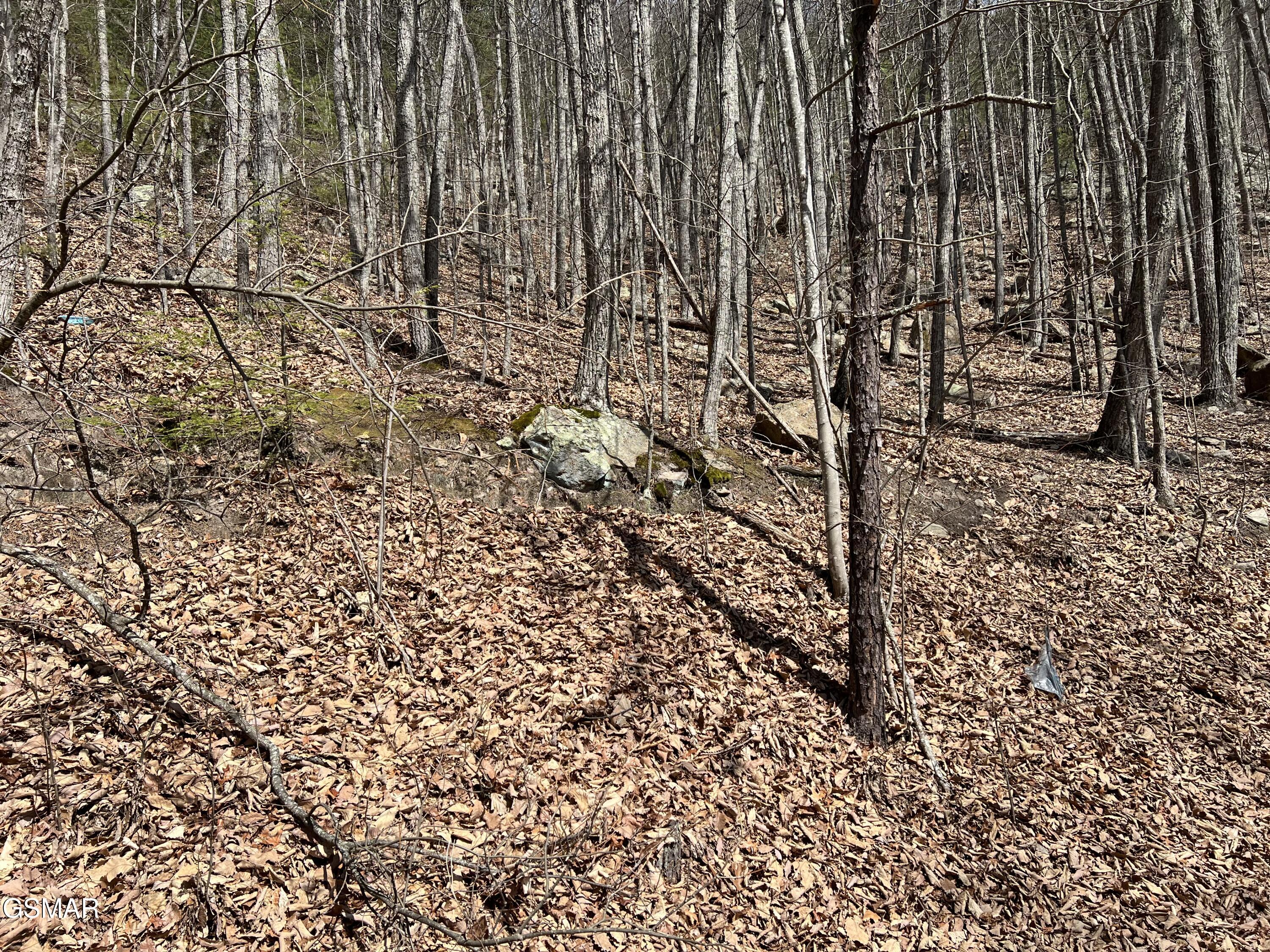 Lot 18 Clingmans View Sevierville TN 37876