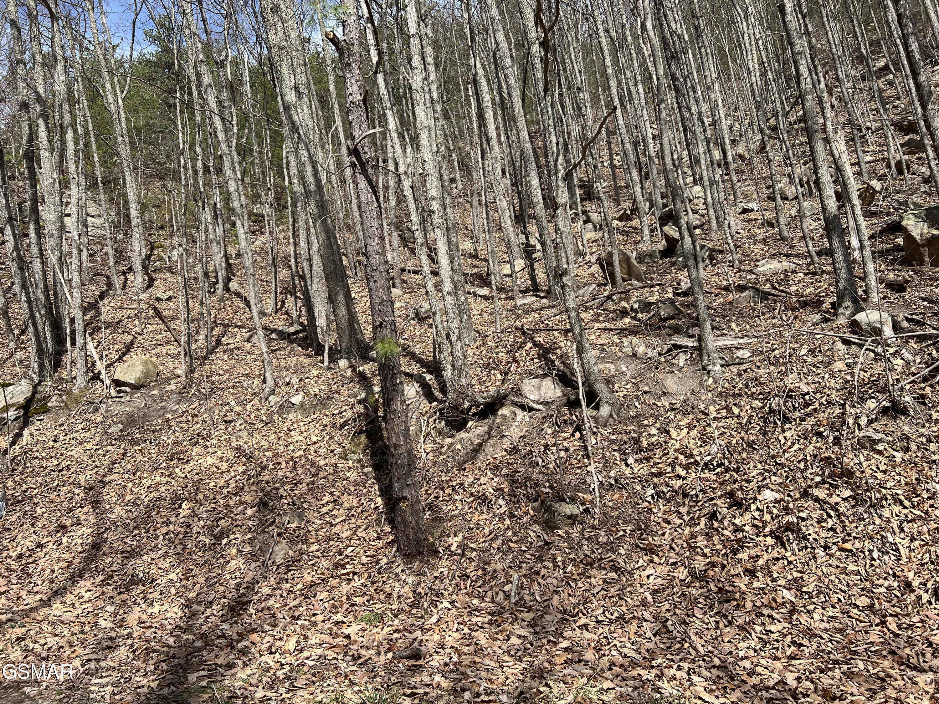 Lot 18 Clingmans View Sevierville TN 37876