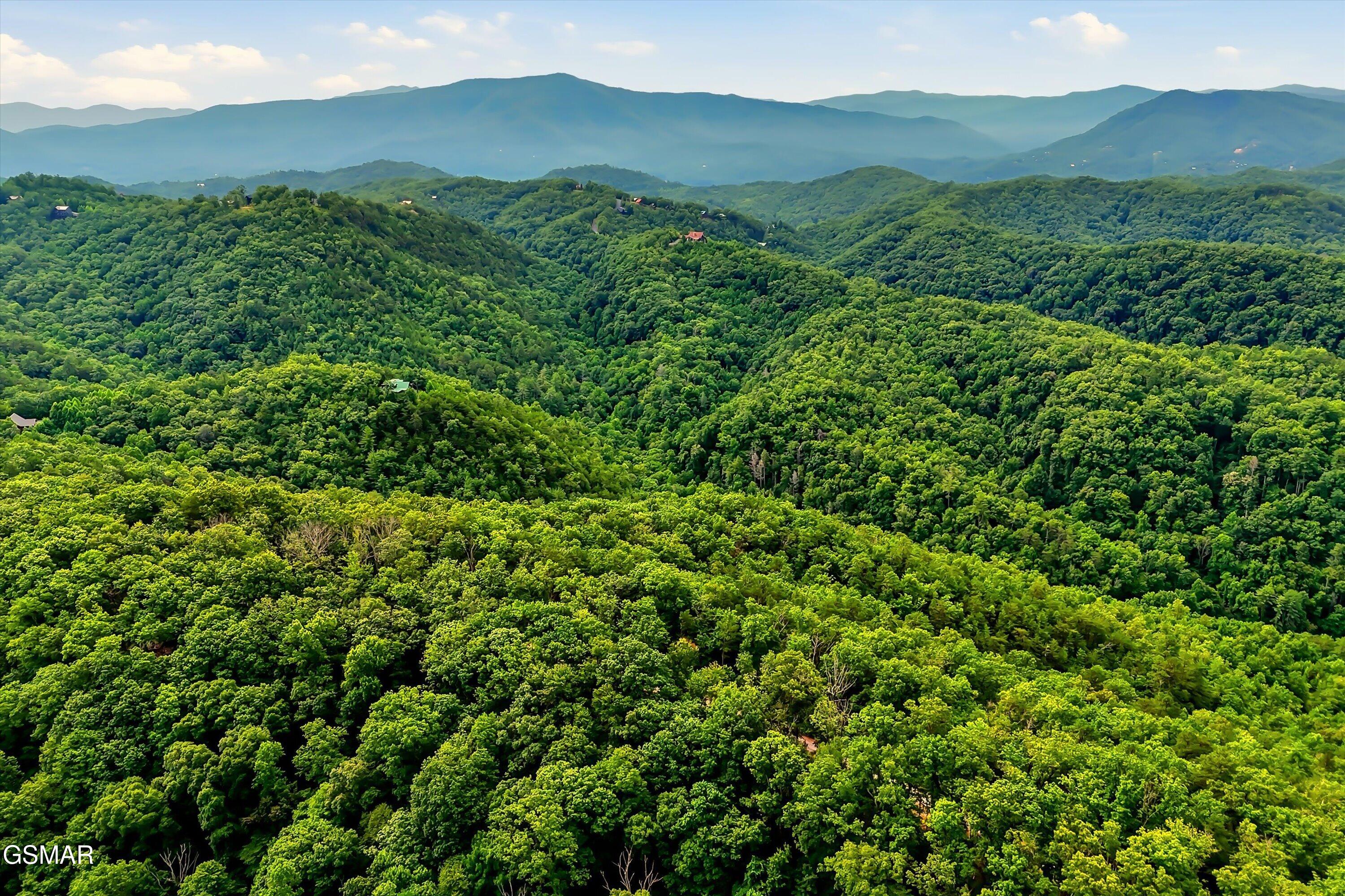 Lot 71e Redtail Road Sevierville TN 37862