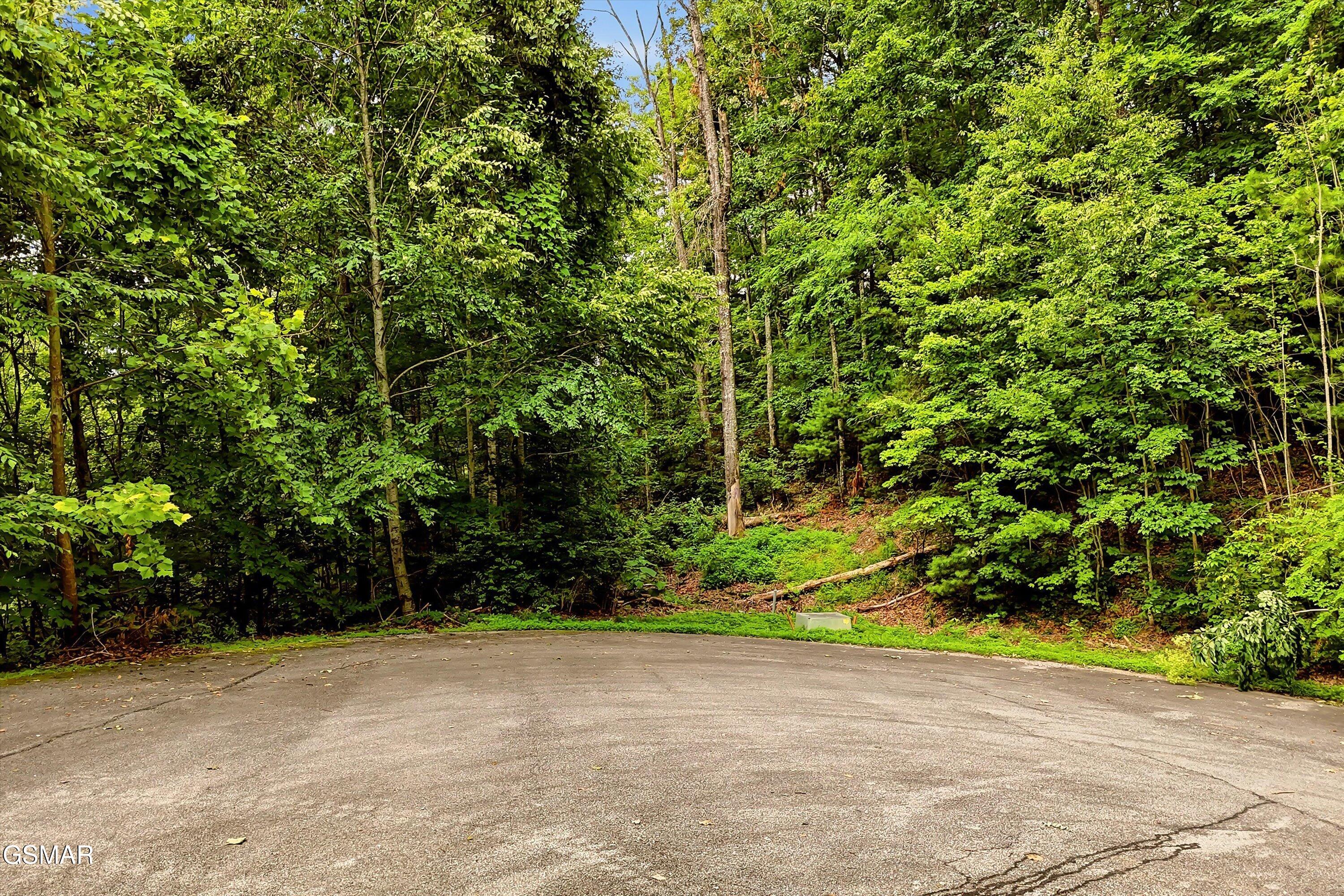 Lot 71e Redtail Road Sevierville TN 37862