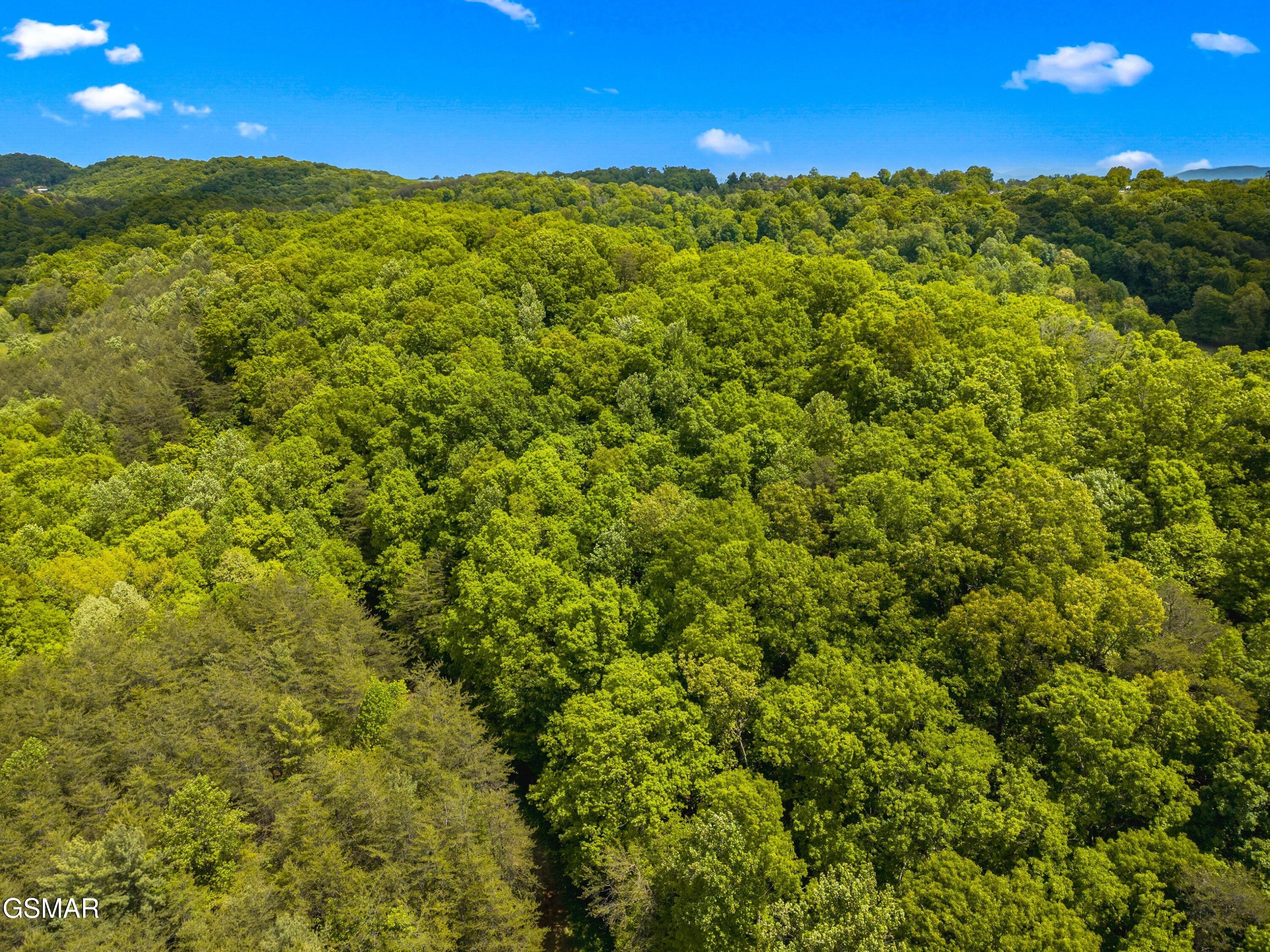 Lot 8-11 Hebron Church Road Jefferson City TN 37760
