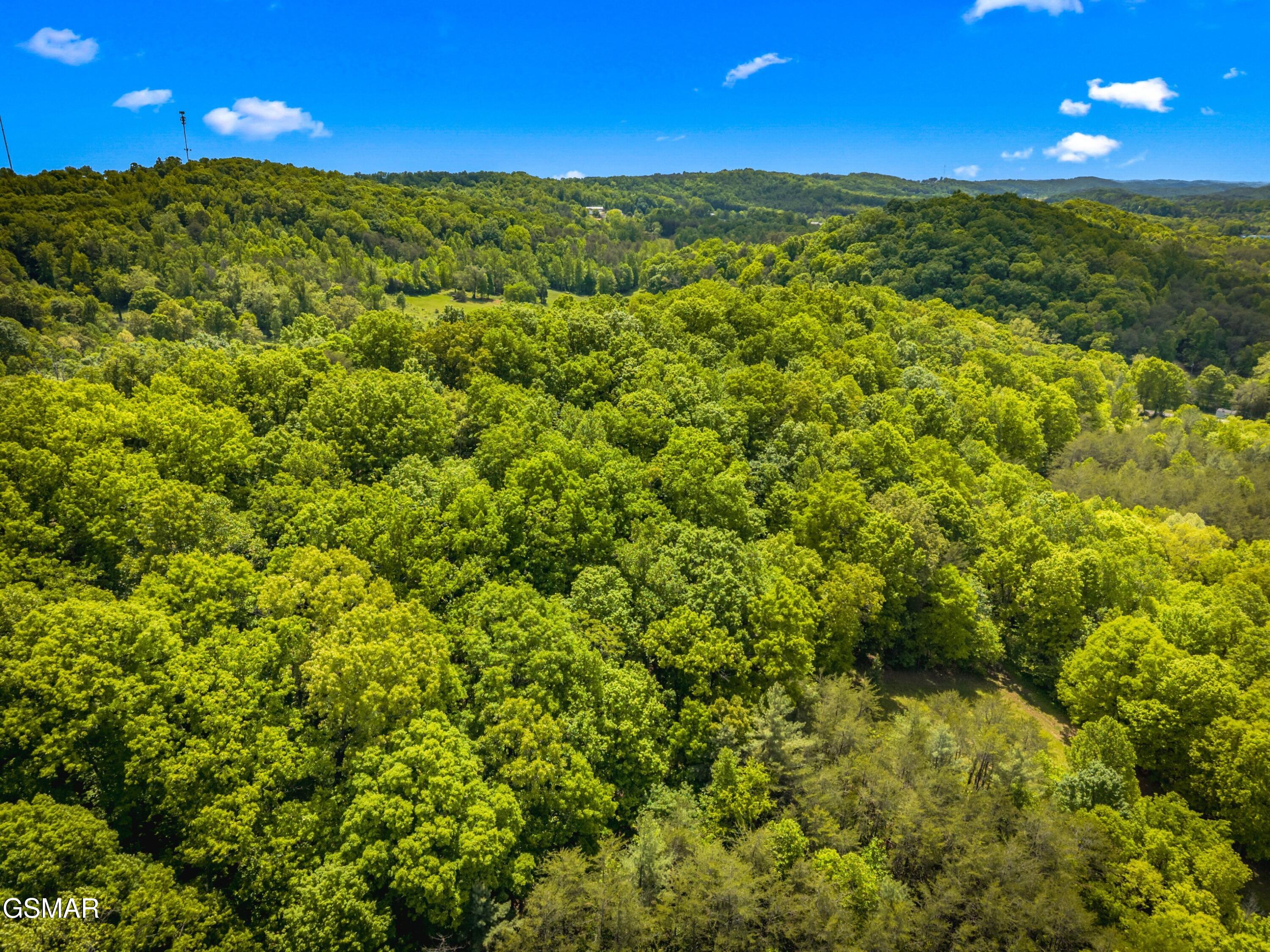 Lot 8-11 Hebron Church Road Jefferson City TN 37760
