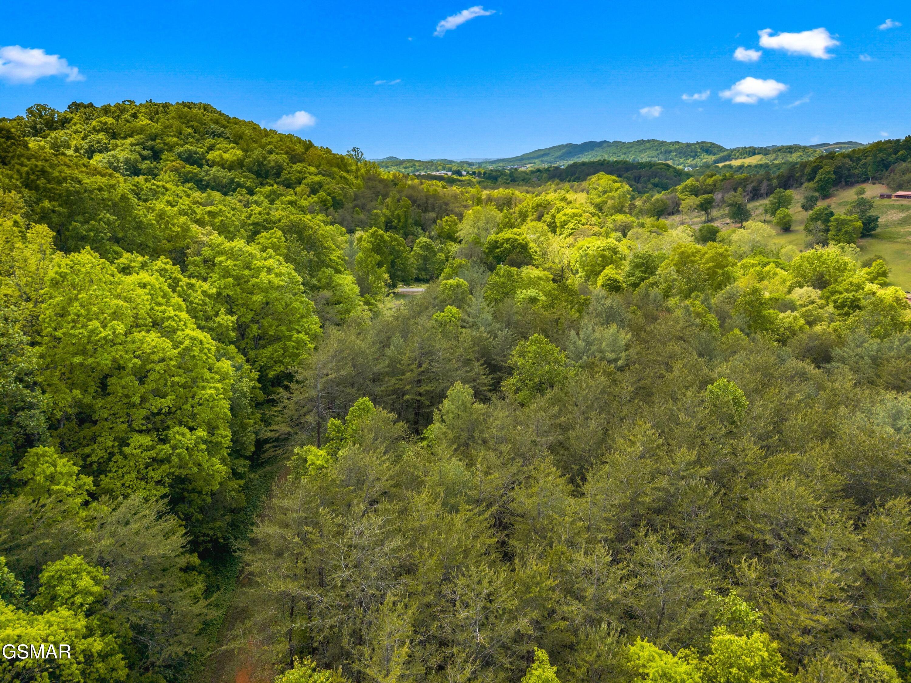 Lot 8-11 Hebron Church Road Jefferson City TN 37760