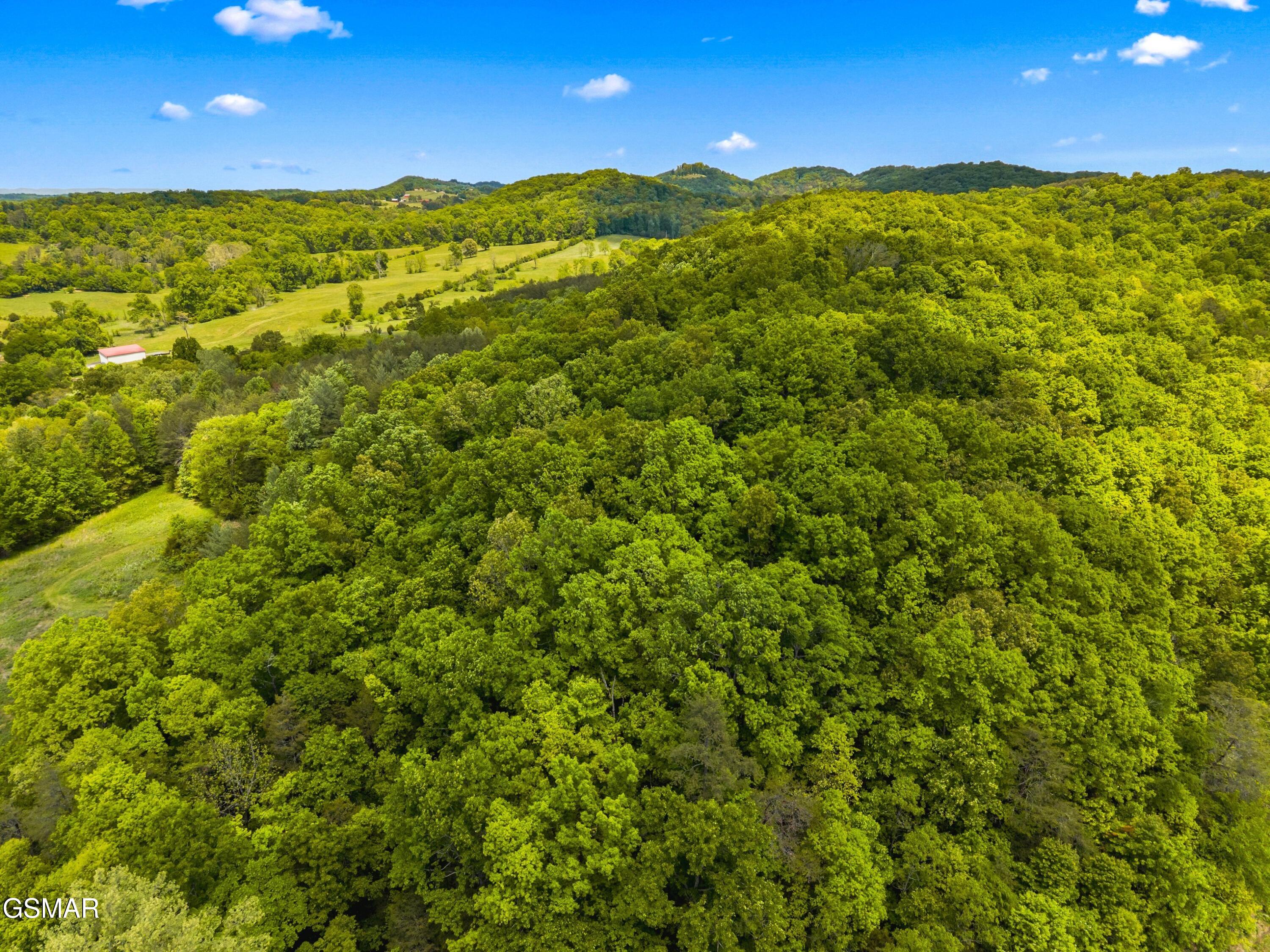 Lot 8-11 Hebron Church Road Jefferson City TN 37760