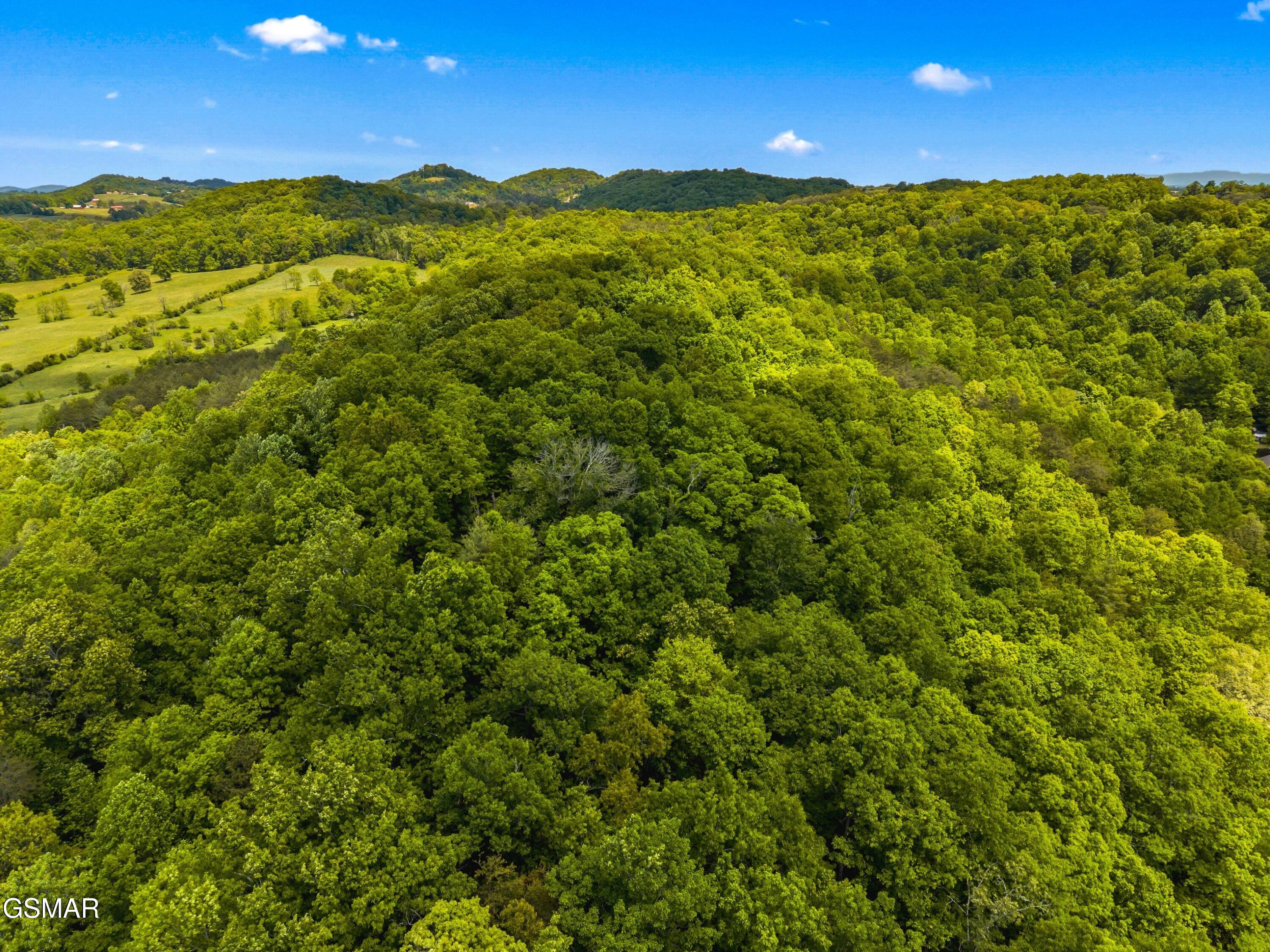 Lot 8-11 Hebron Church Road Jefferson City TN 37760