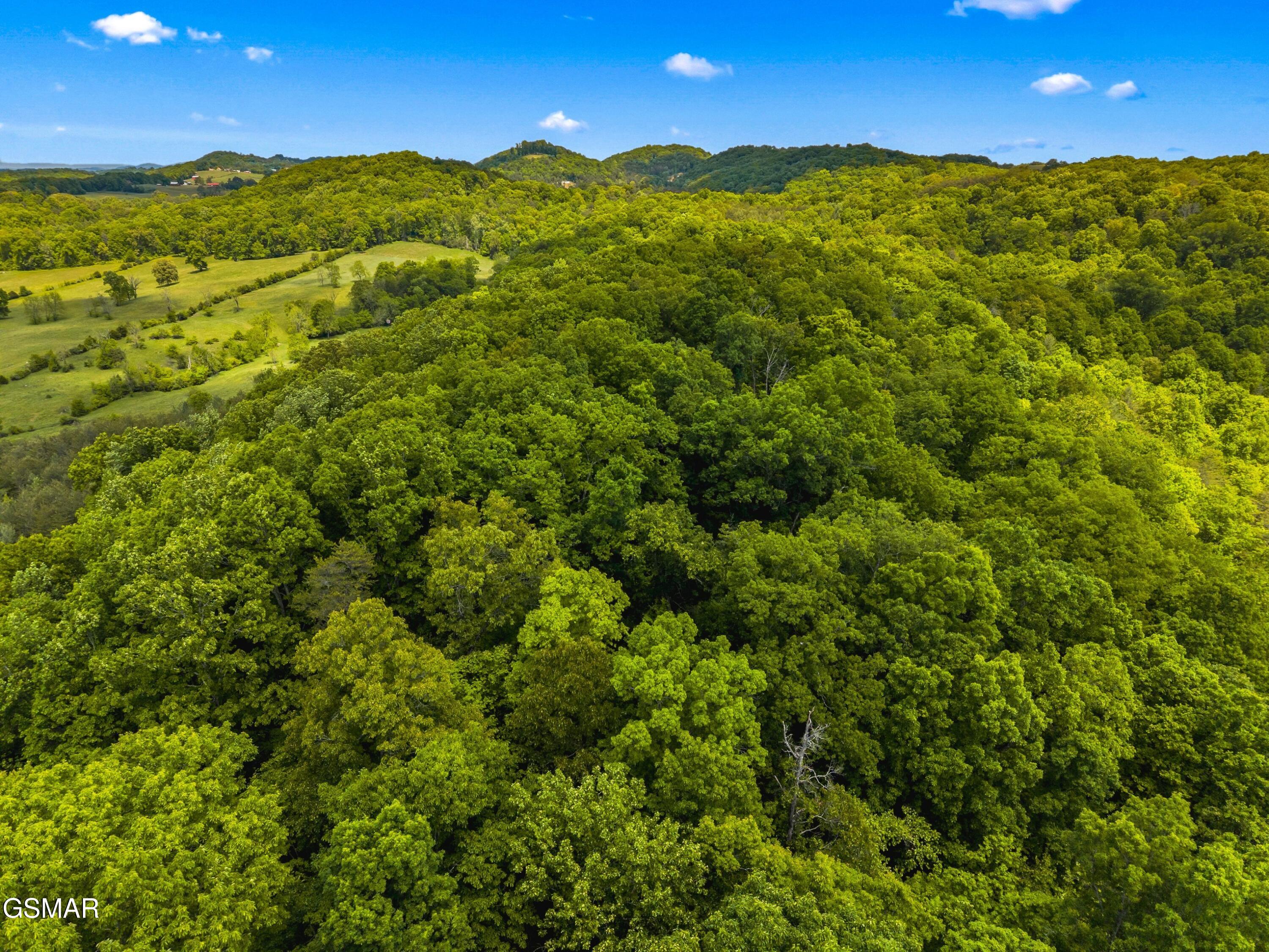 Lot 8-11 Hebron Church Road Jefferson City TN 37760