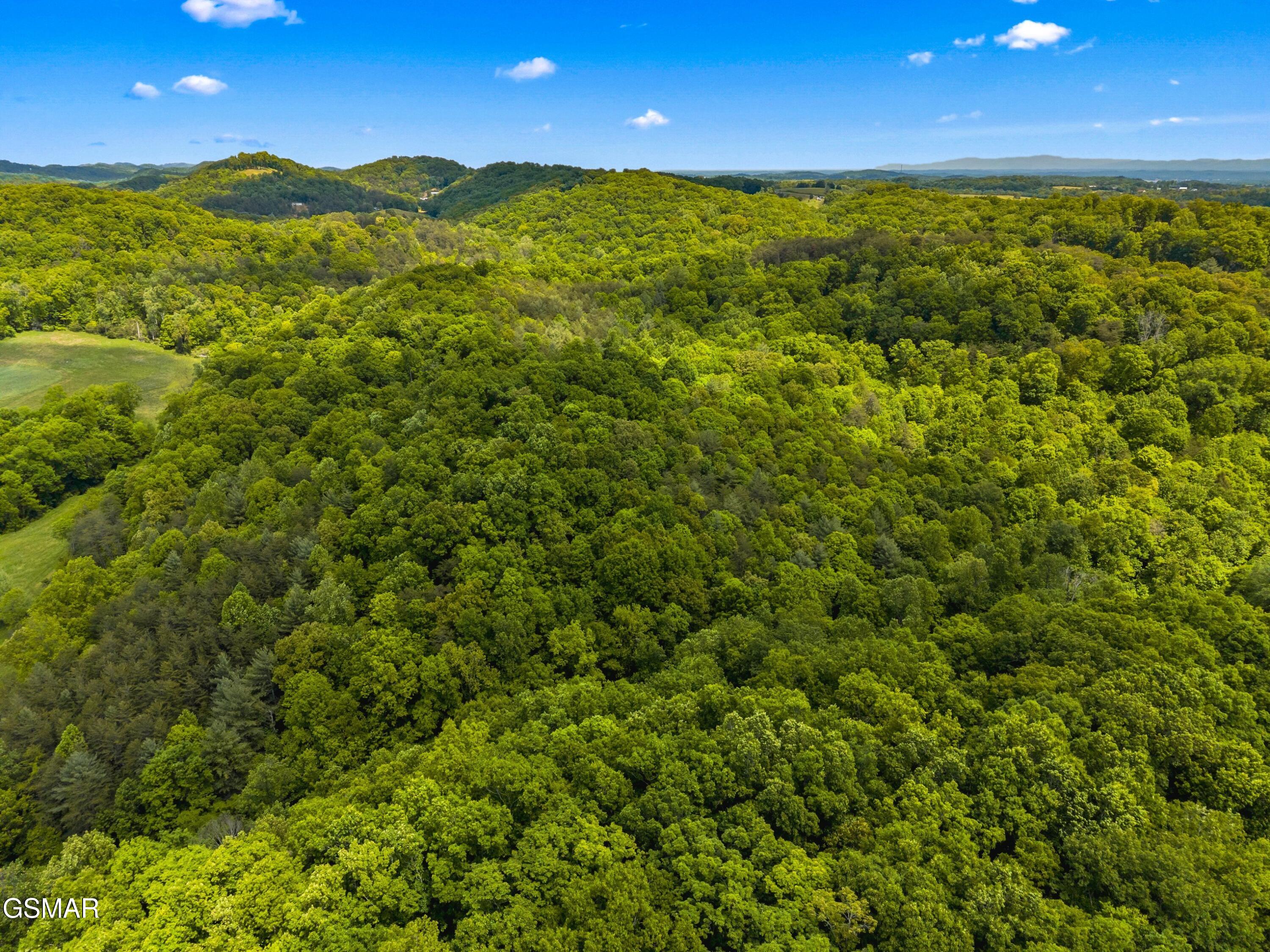Lot 8-11 Hebron Church Road Jefferson City TN 37760