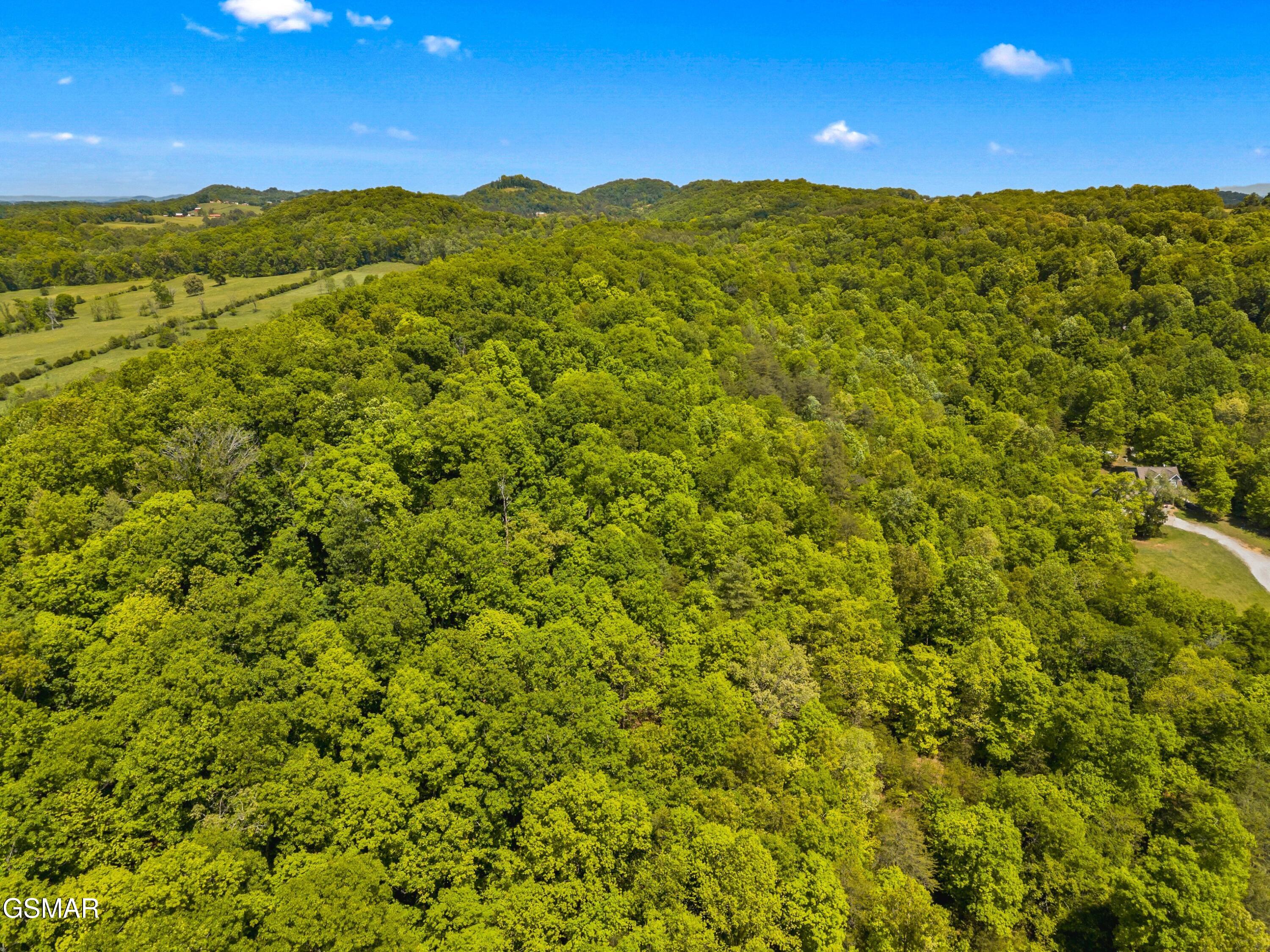 Lot 8-11 Hebron Church Road Jefferson City TN 37760