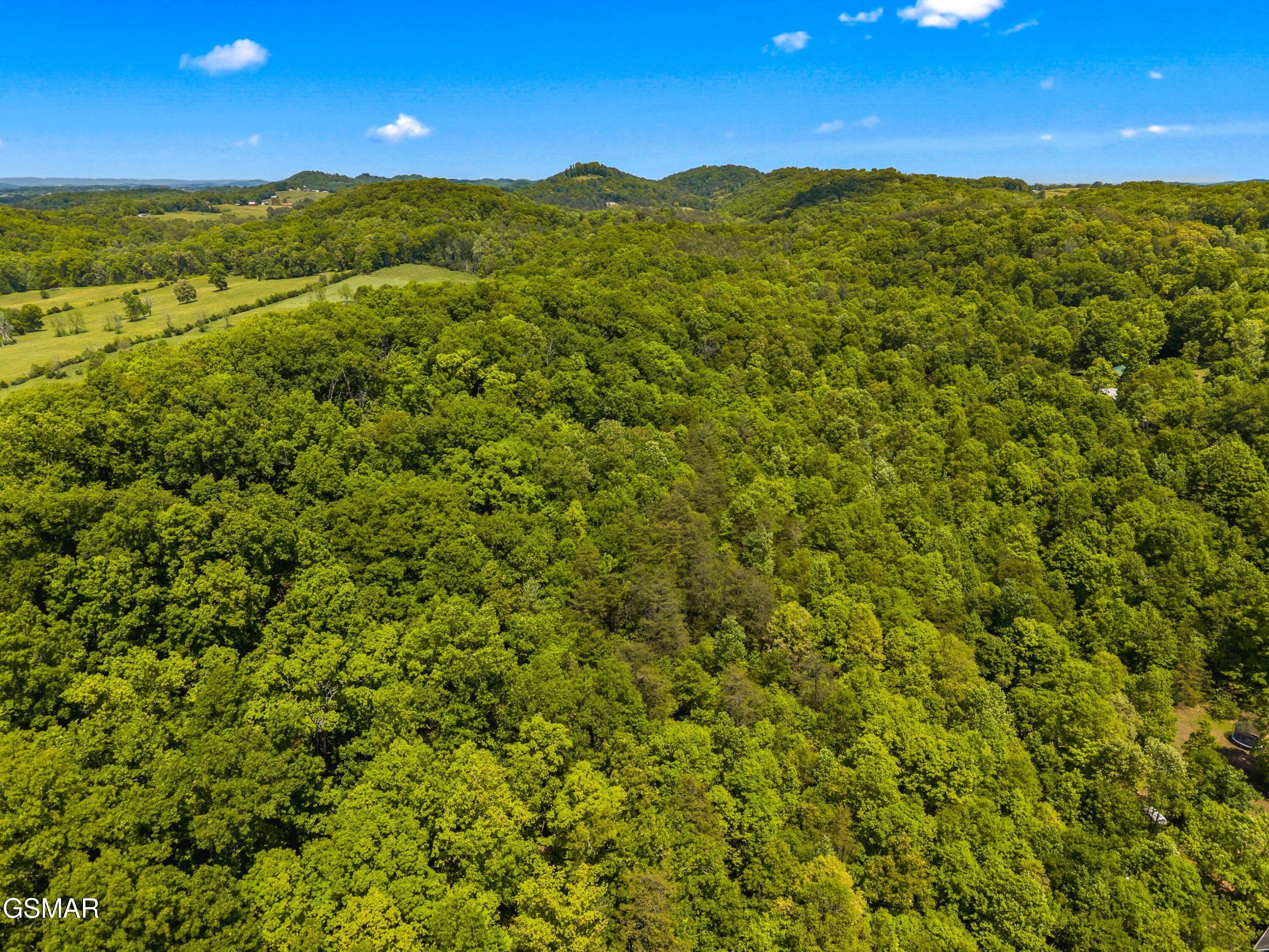 Lot 8-11 Hebron Church Road Jefferson City TN 37760