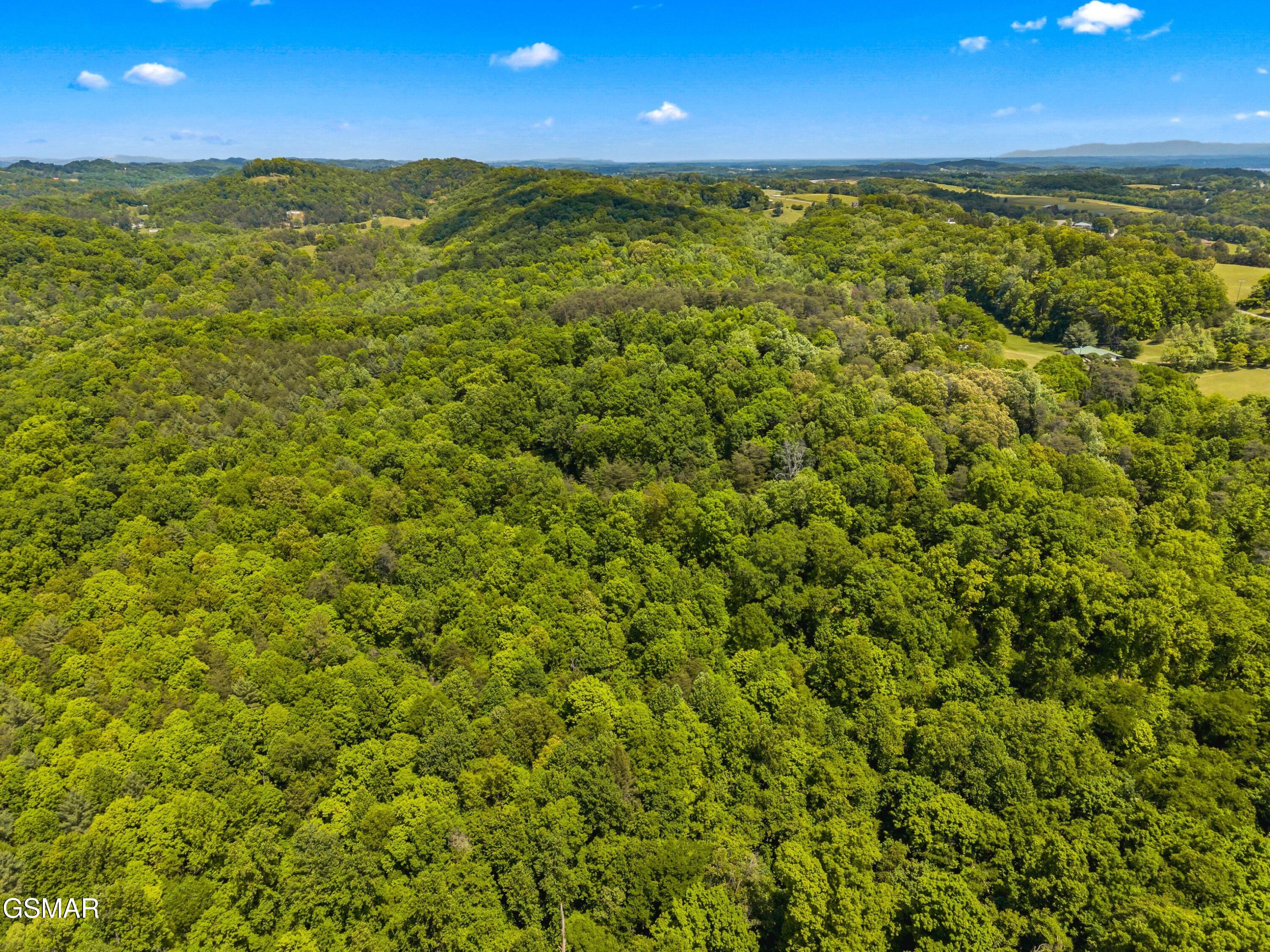 Lot 8-11 Hebron Church Road Jefferson City TN 37760