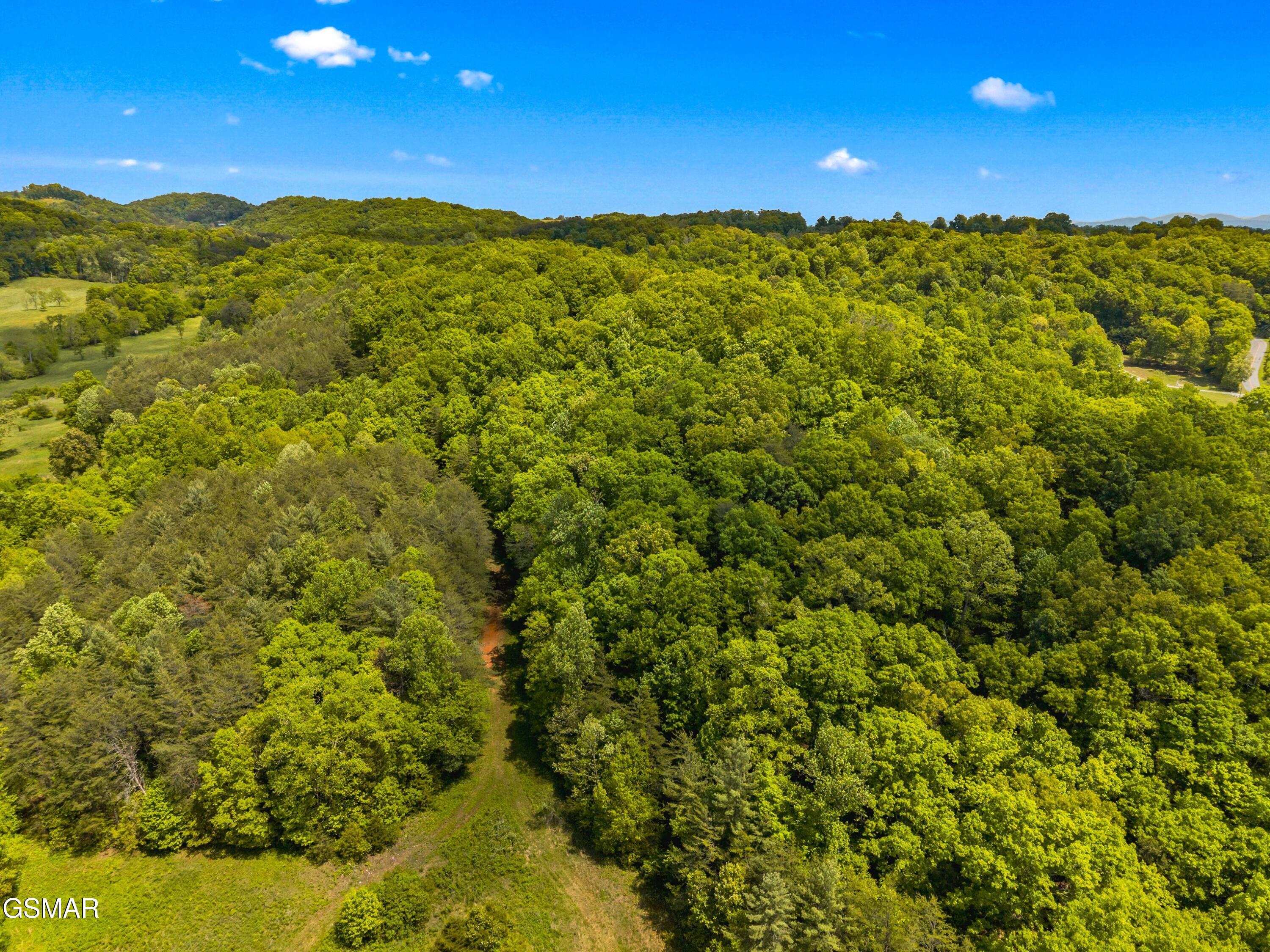 Lot 8-11 Hebron Church Road Jefferson City TN 37760