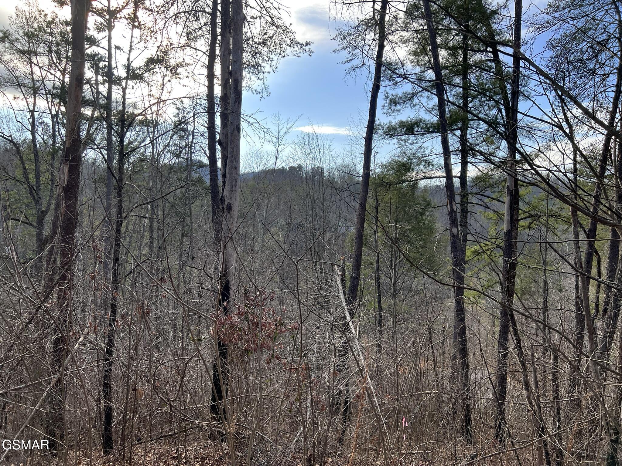 2331 Willow Lane Sevierville TN 37862