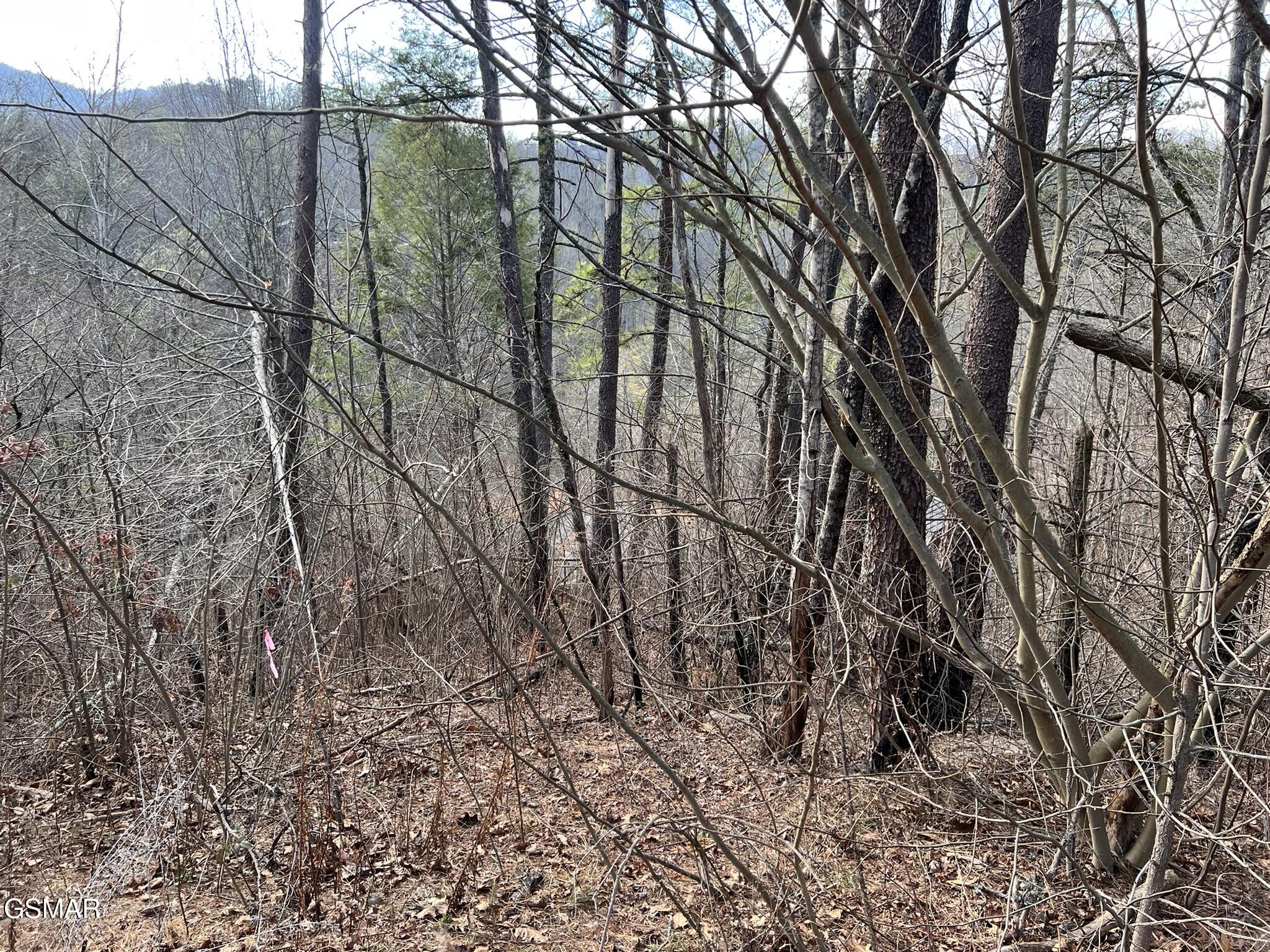 2331 Willow Lane Sevierville TN 37862