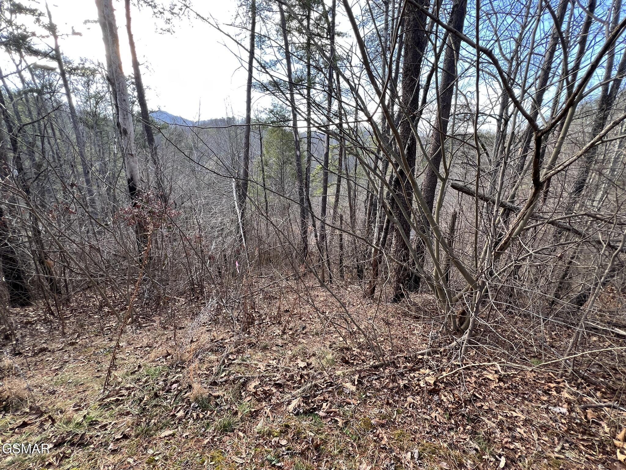 2331 Willow Lane Sevierville TN 37862