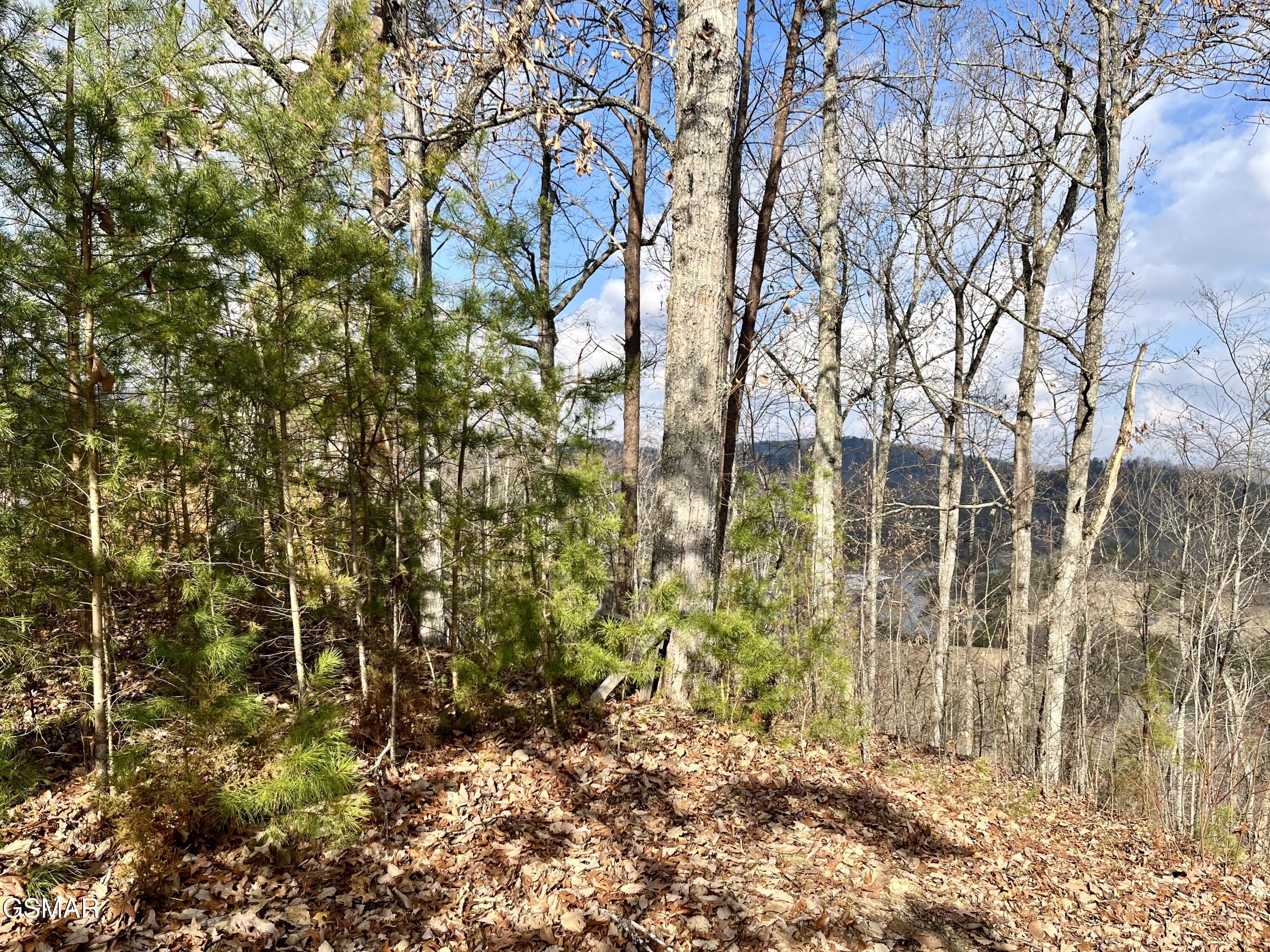106 & 107 Dollys Drive Sevierville TN 37876