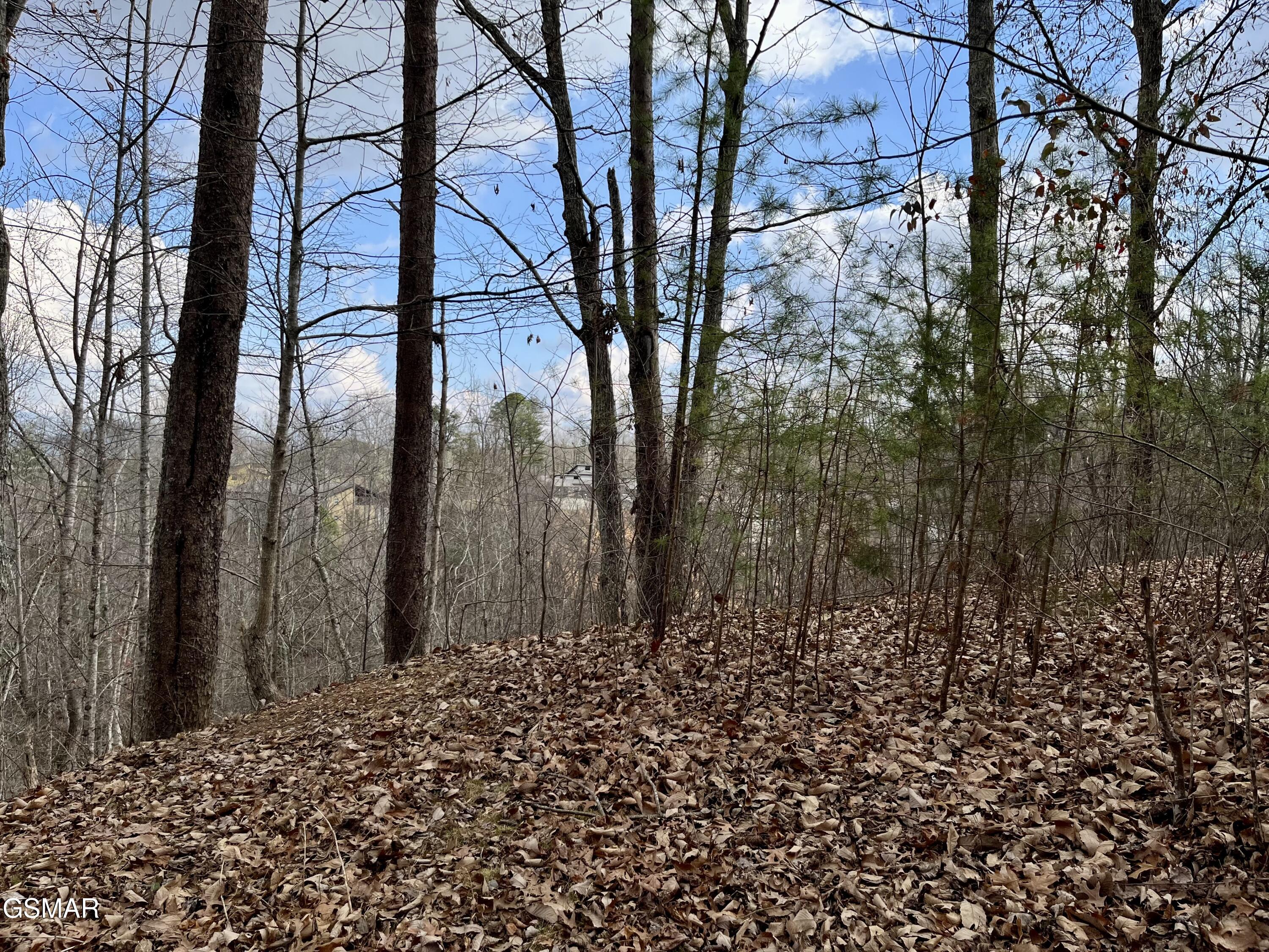 106 & 107 Dollys Drive Sevierville TN 37876