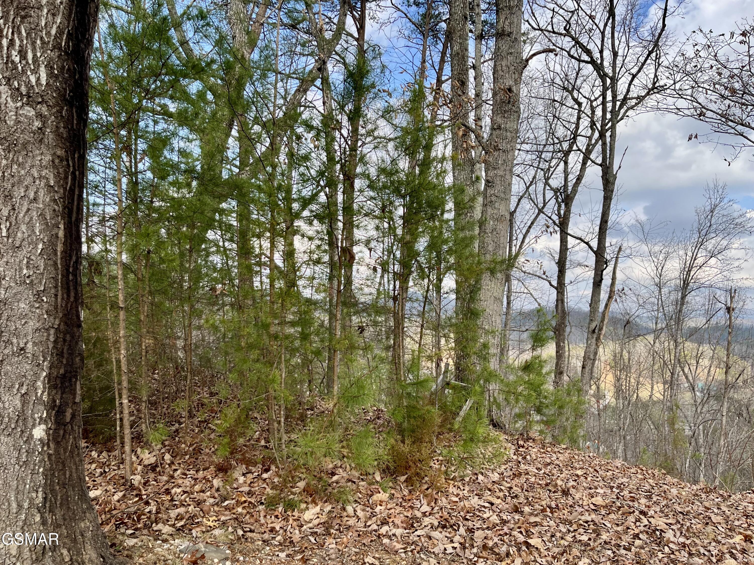106 & 107 Dollys Drive Sevierville TN 37876