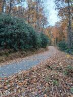Lot 3 Rocky Ridge Road Cosby TN 37722