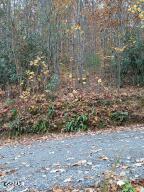 Lot 3 Rocky Ridge Road Cosby TN 37722