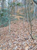 Lot 3 Rocky Ridge Road Cosby TN 37722