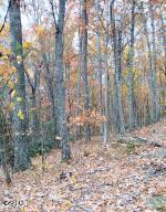 Lot 3 Rocky Ridge Road Cosby TN 37722