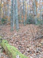 Lot 3 Rocky Ridge Road Cosby TN 37722