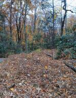 Lot 3 Rocky Ridge Road Cosby TN 37722