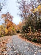 Lot 3 Rocky Ridge Road Cosby TN 37722