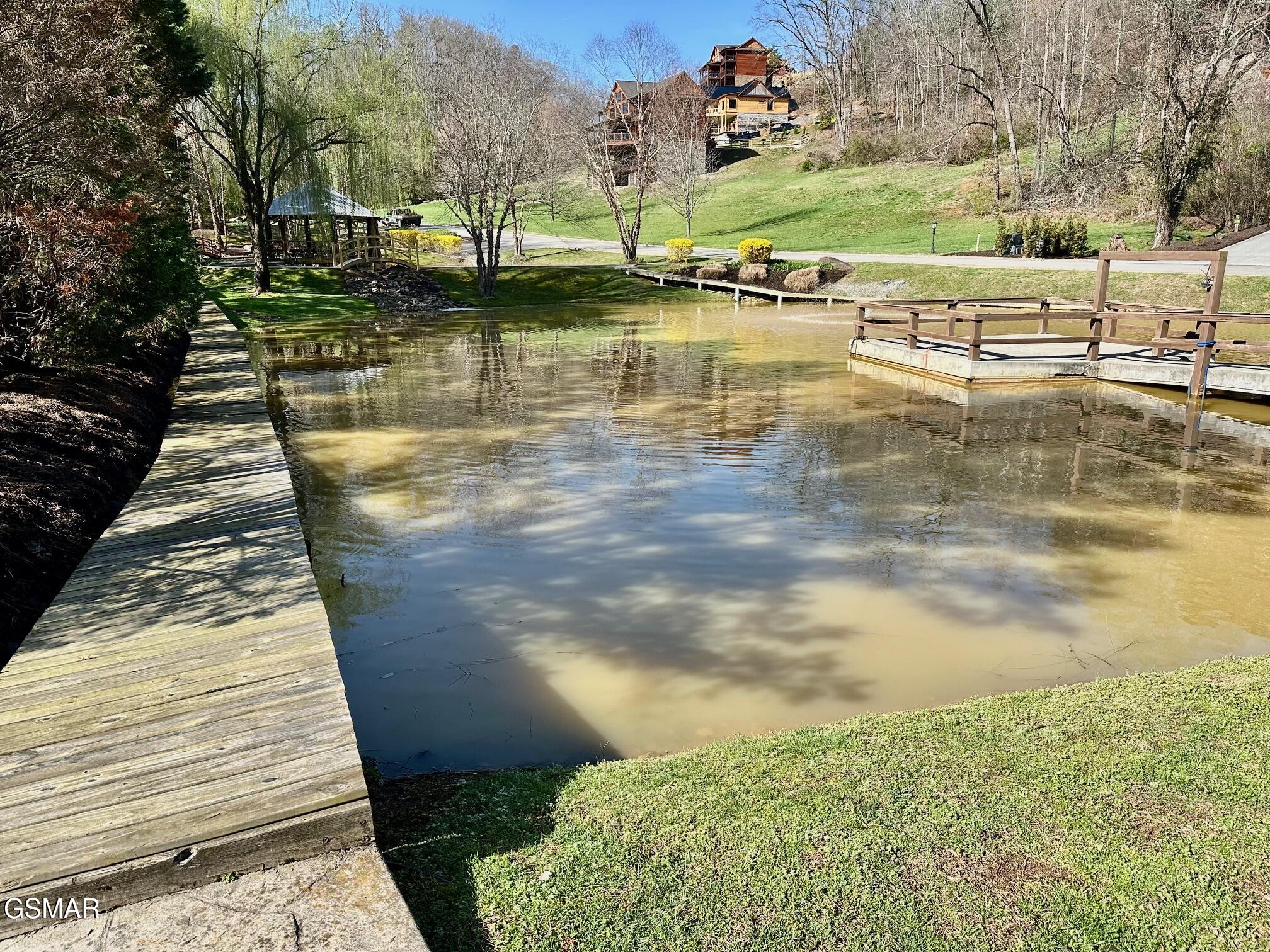 1919 Lizi Loop Way Sevierville TN 37862