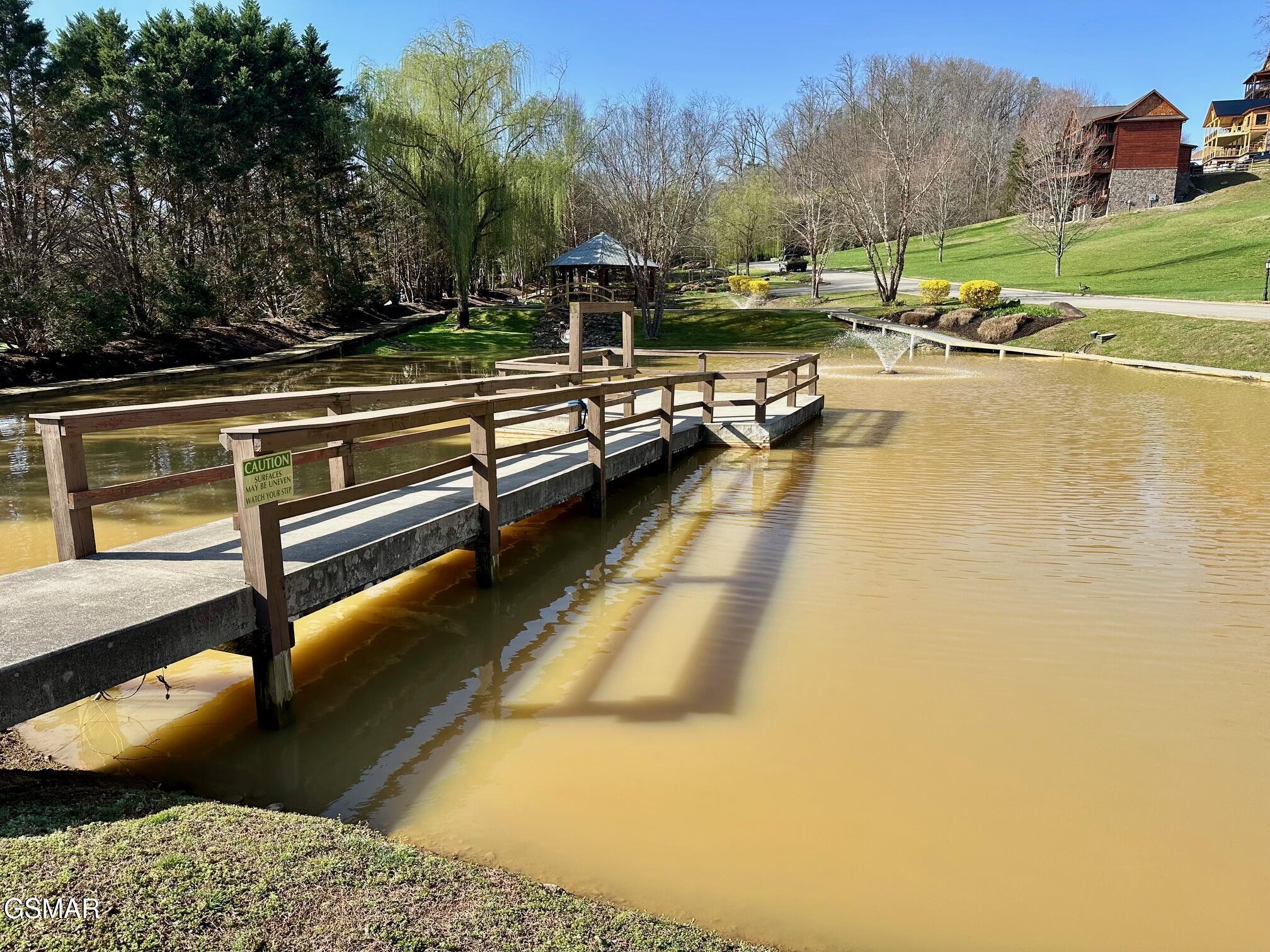 1919 Lizi Loop Way Sevierville TN 37862